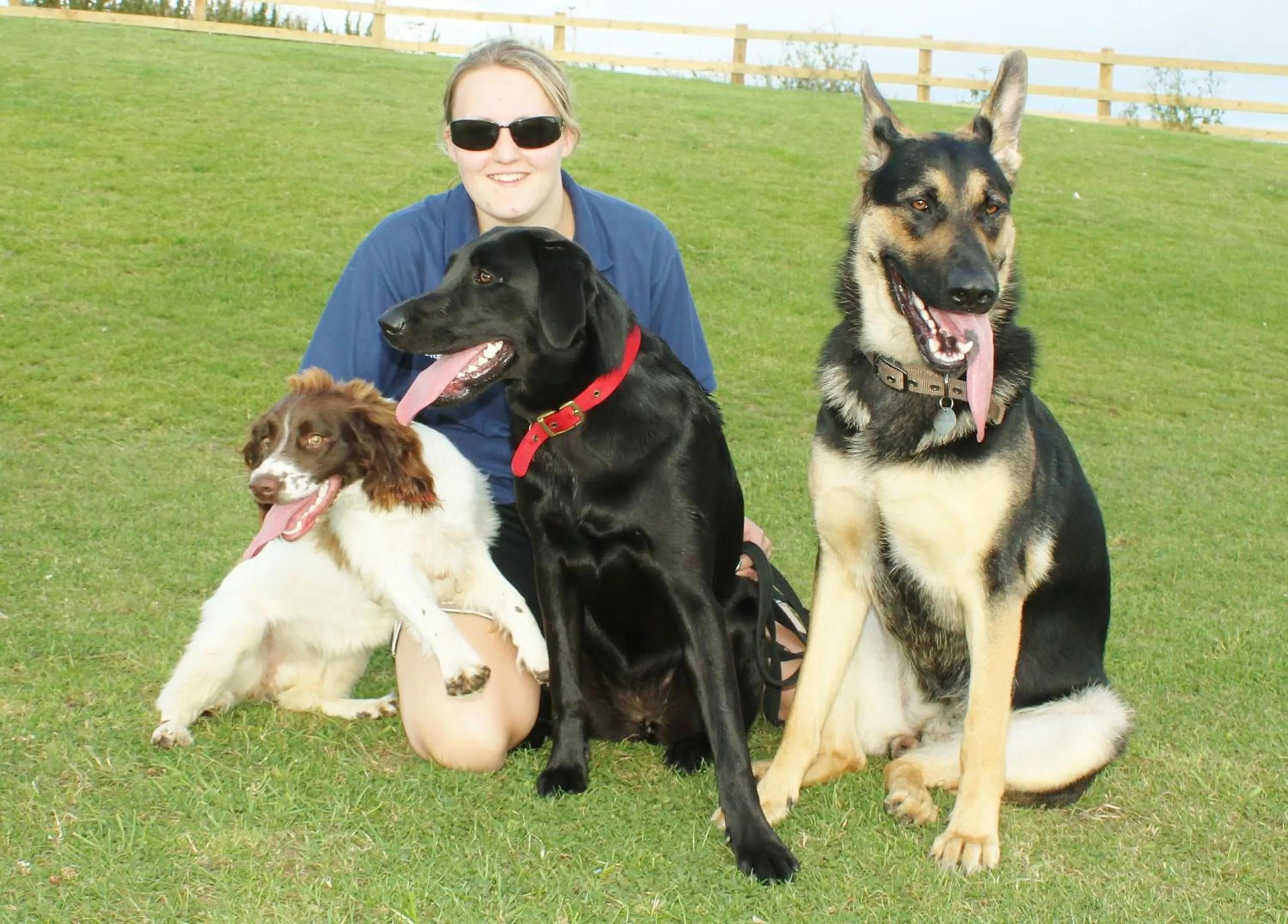 Pets in Crows Nest Caravan Park