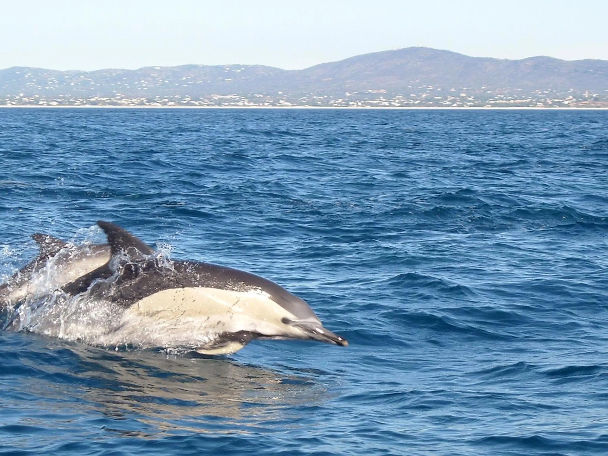 Nearby landmark in Golden Club Cabanas