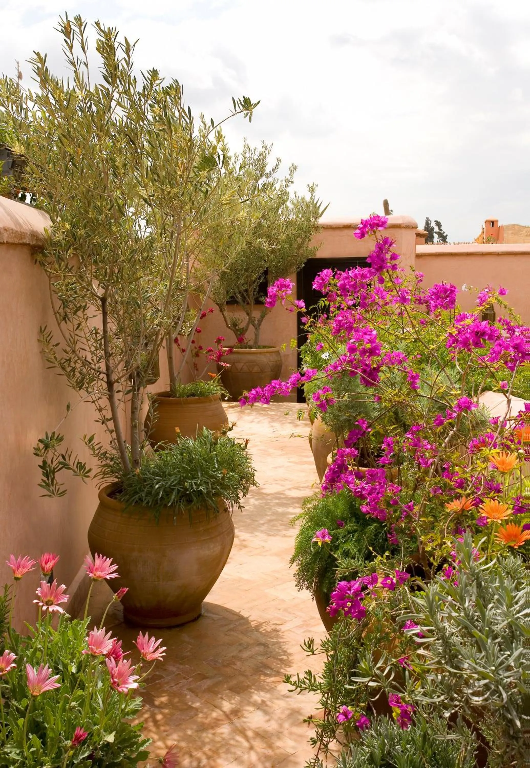 Spring in Riad Meriem