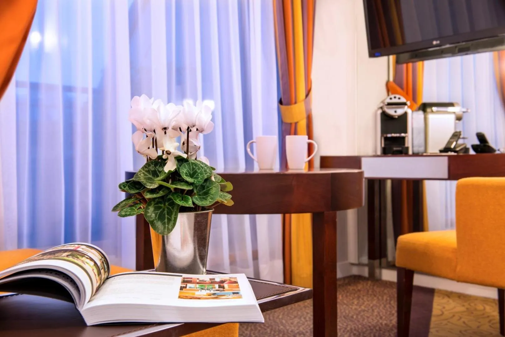 Property building in Ampère