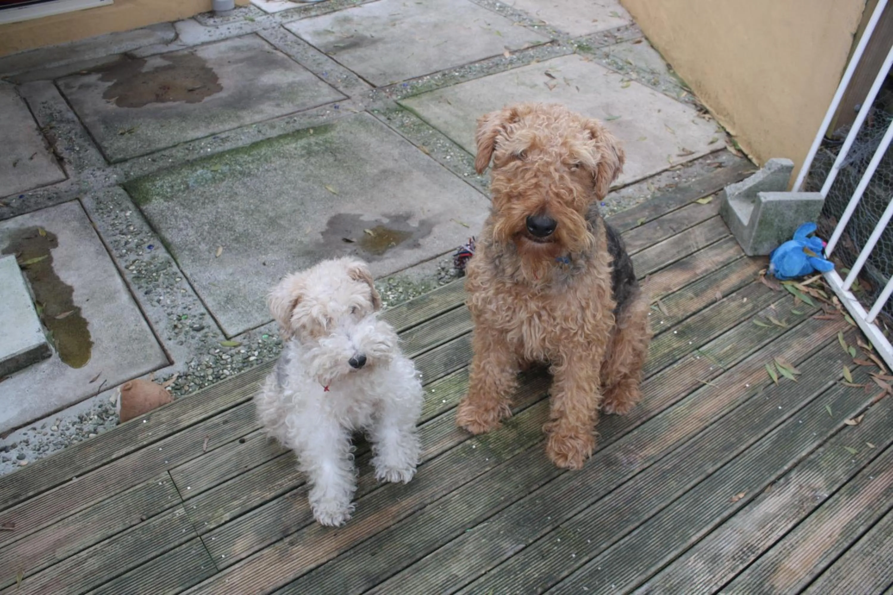 Property building in The Beach House Bed and Breakfast