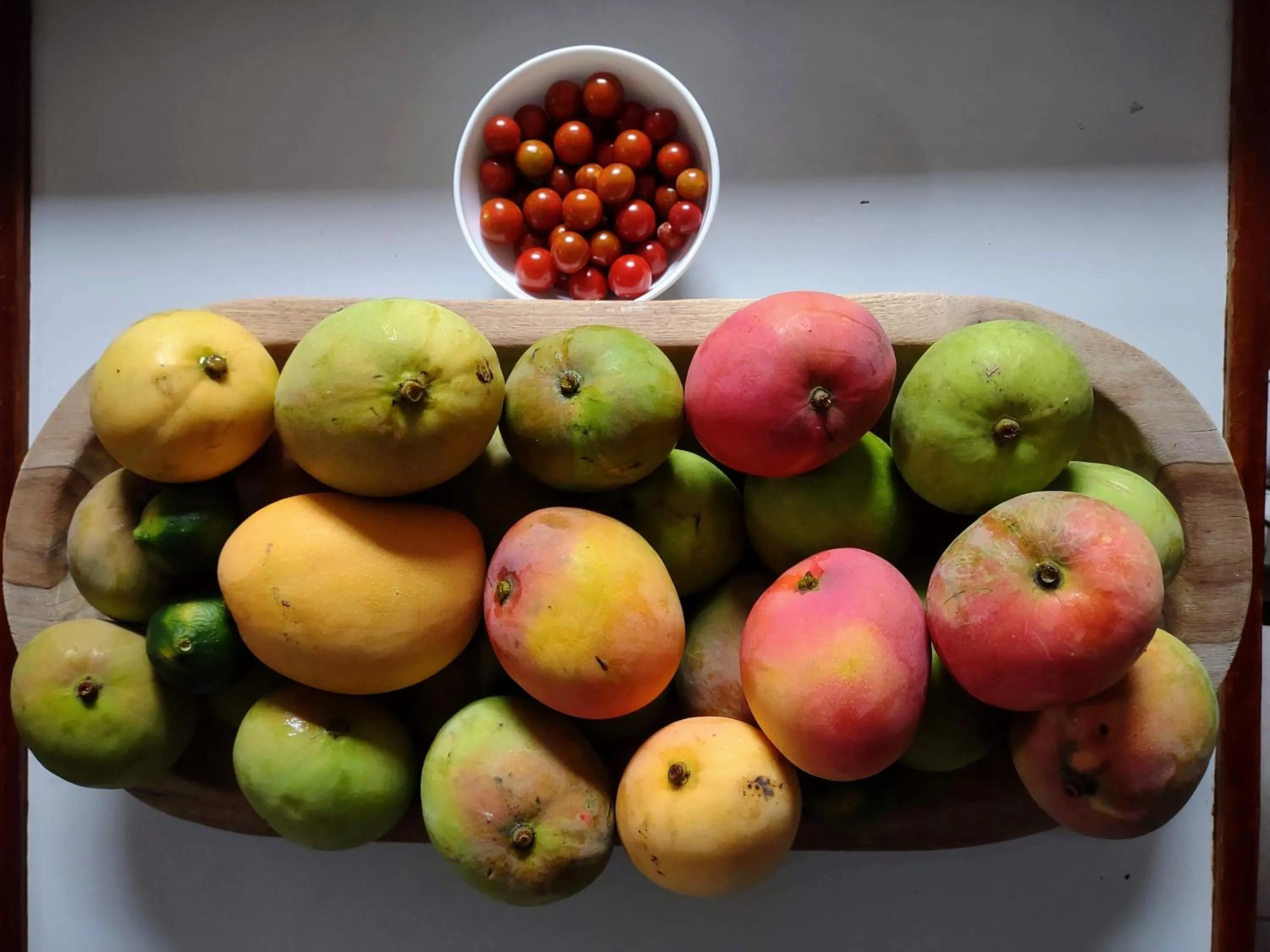 Garden in Hostal Macaw