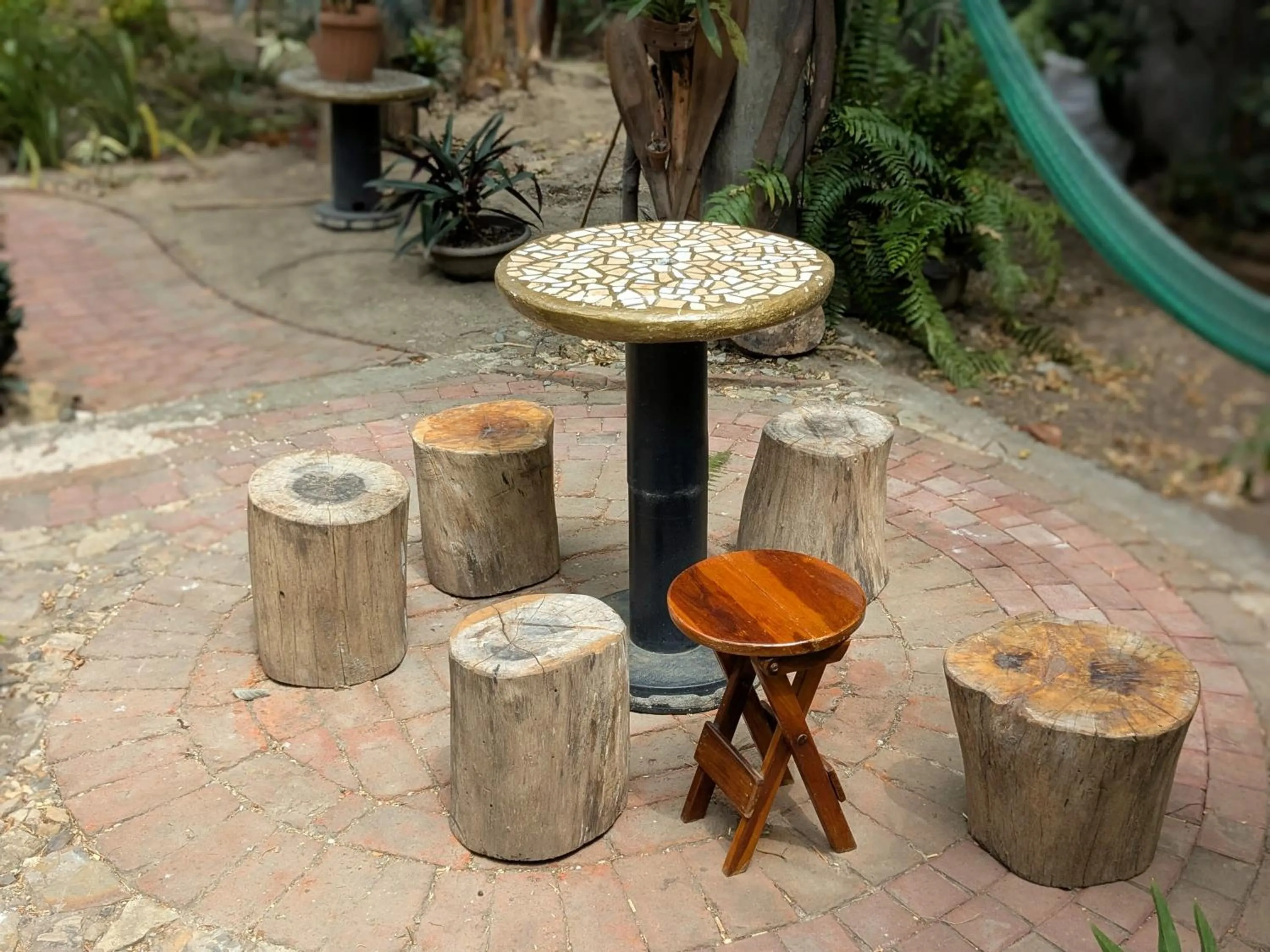 Garden in Hostal Macaw