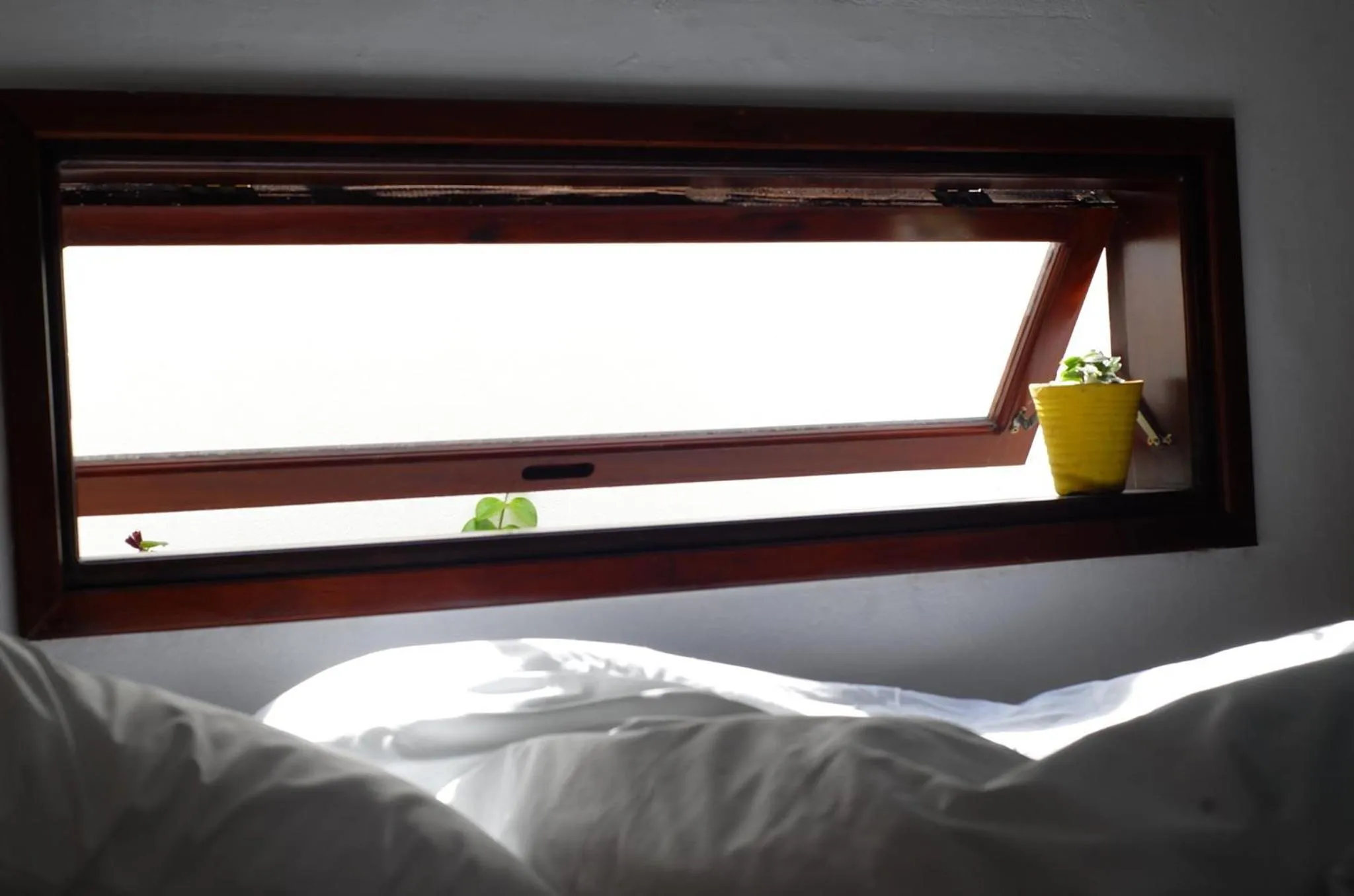 Photo of the whole room, Bed in a-mâze house