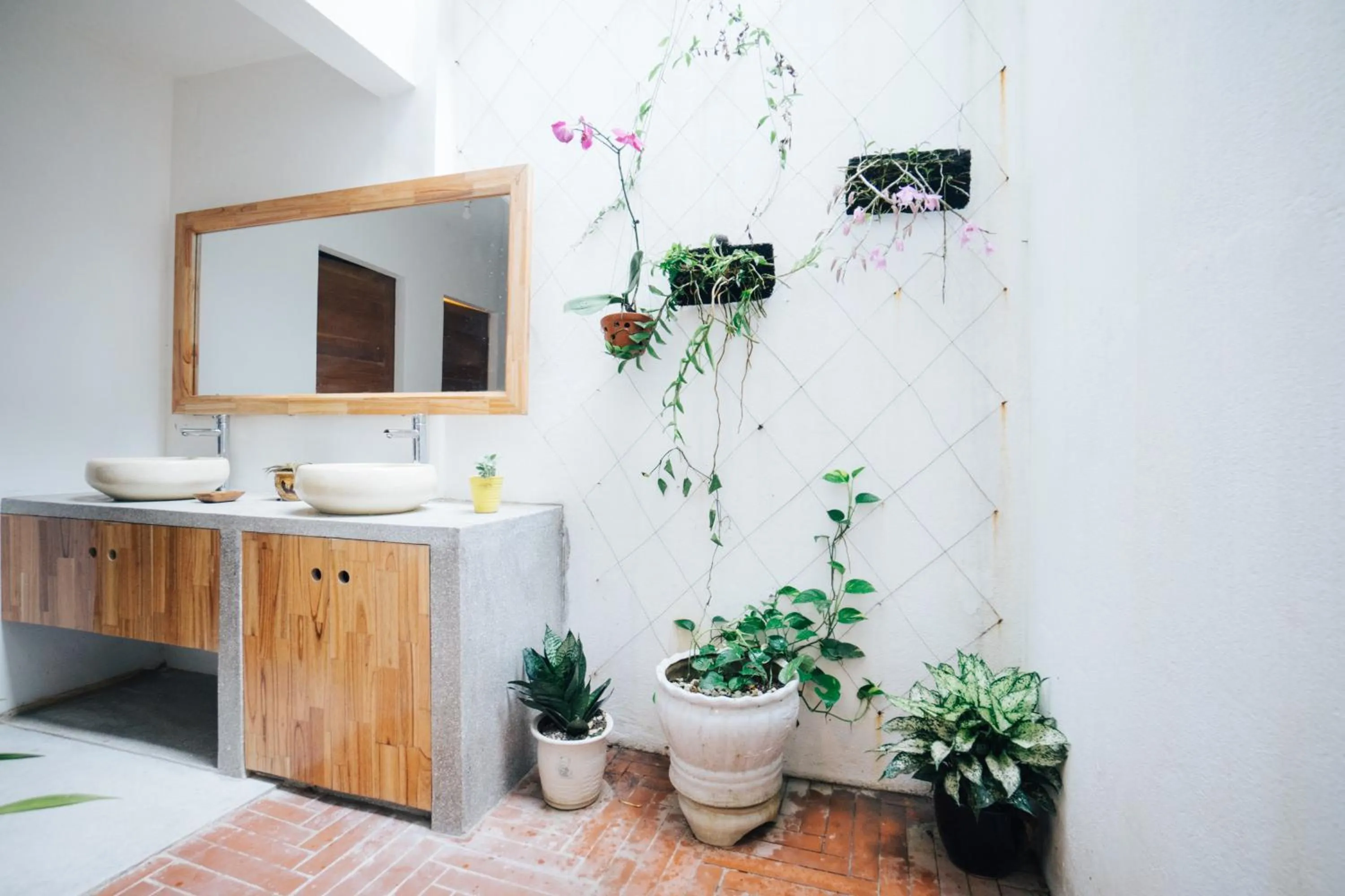 Garden view in a-mâze house