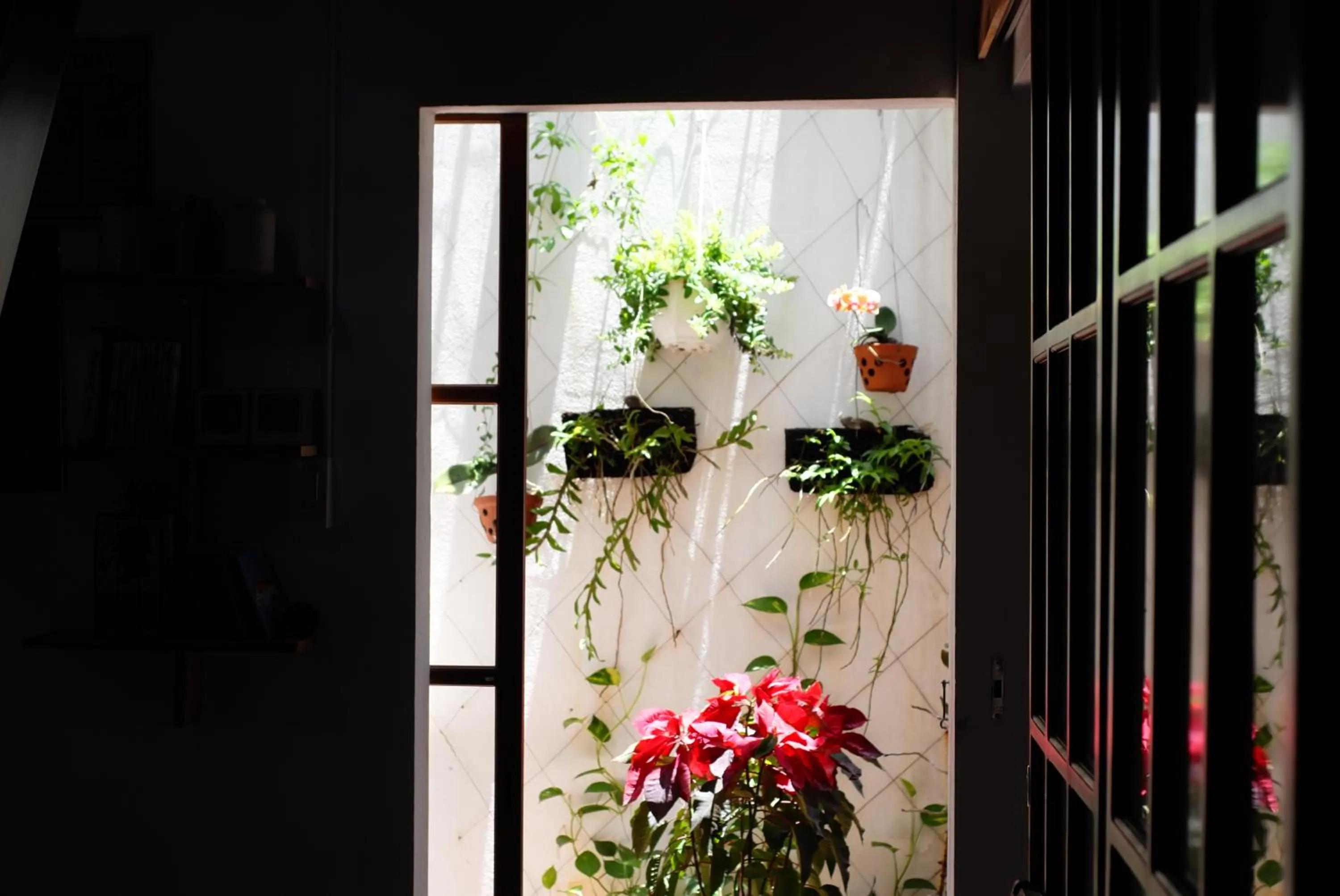 View (from property/room) in a-mâze house