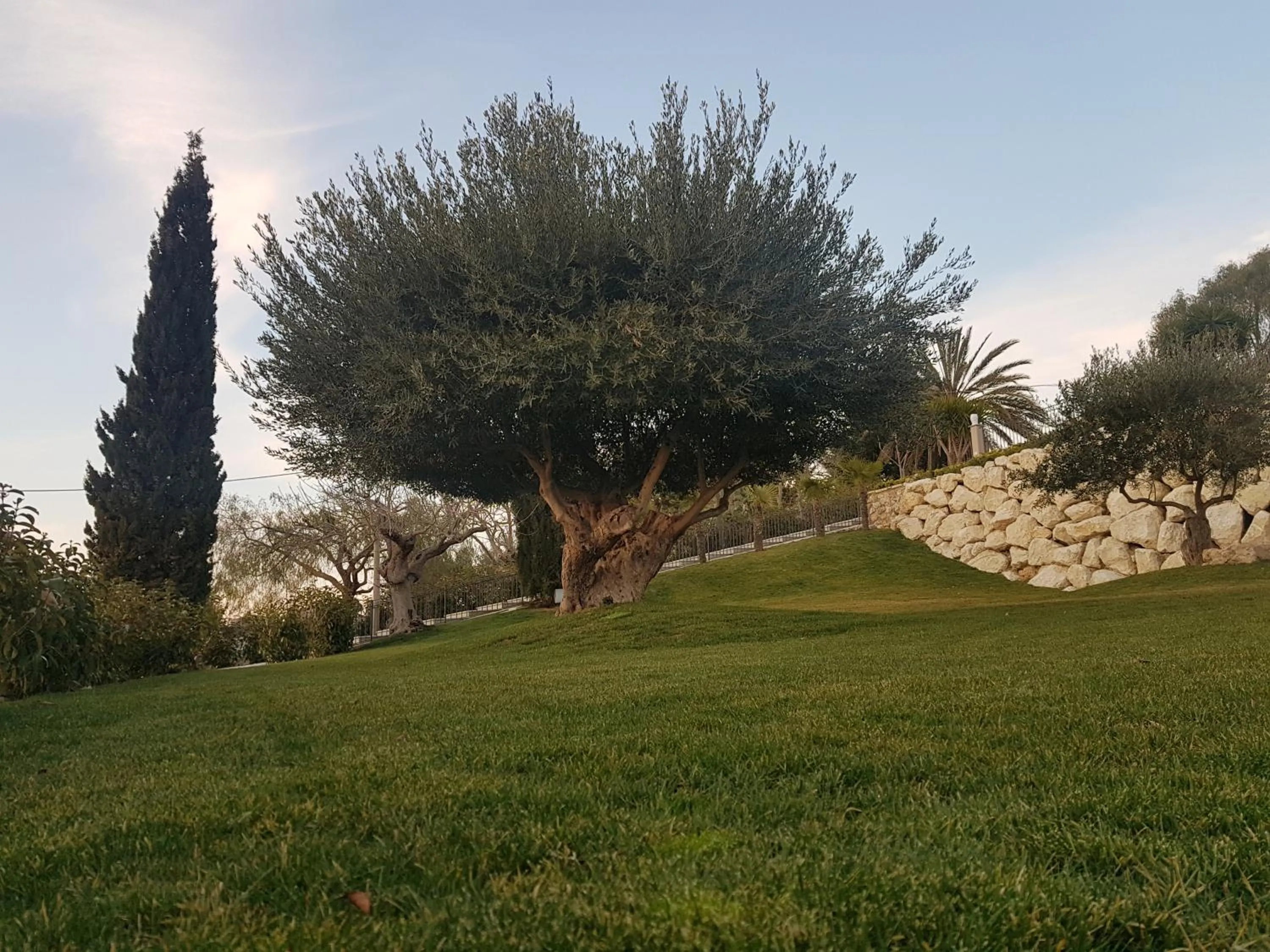 Hotel Villa Flora Relais