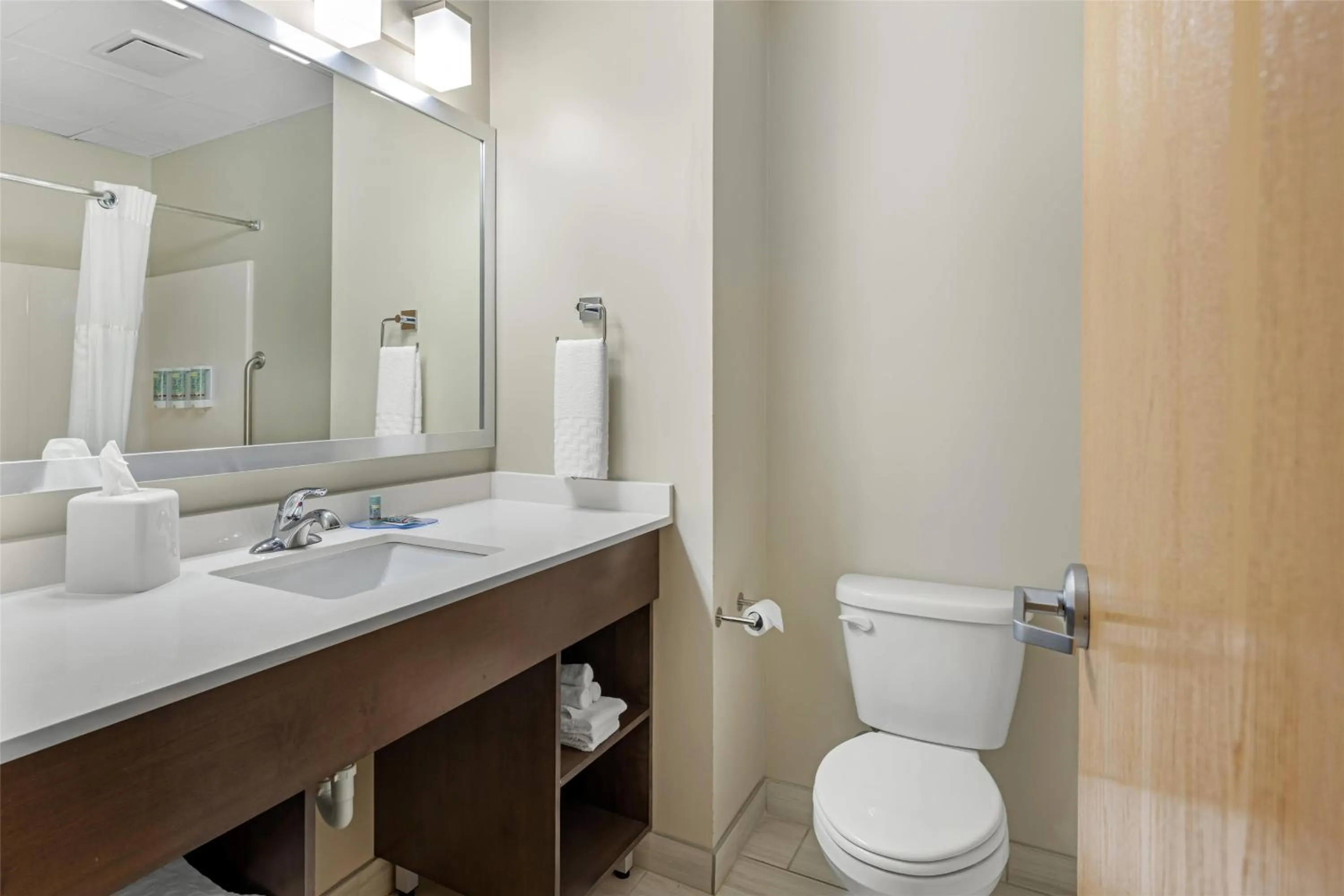 Bathroom in Best Western Brockport Inn & Suites