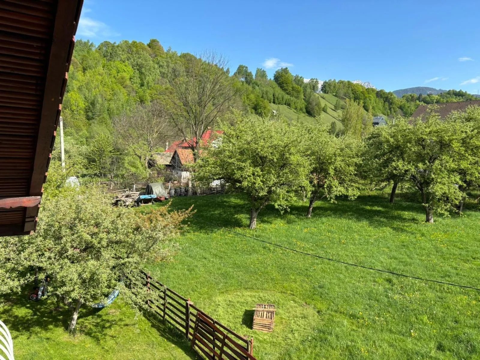 View (from property/room) in Pensiunea Luminita