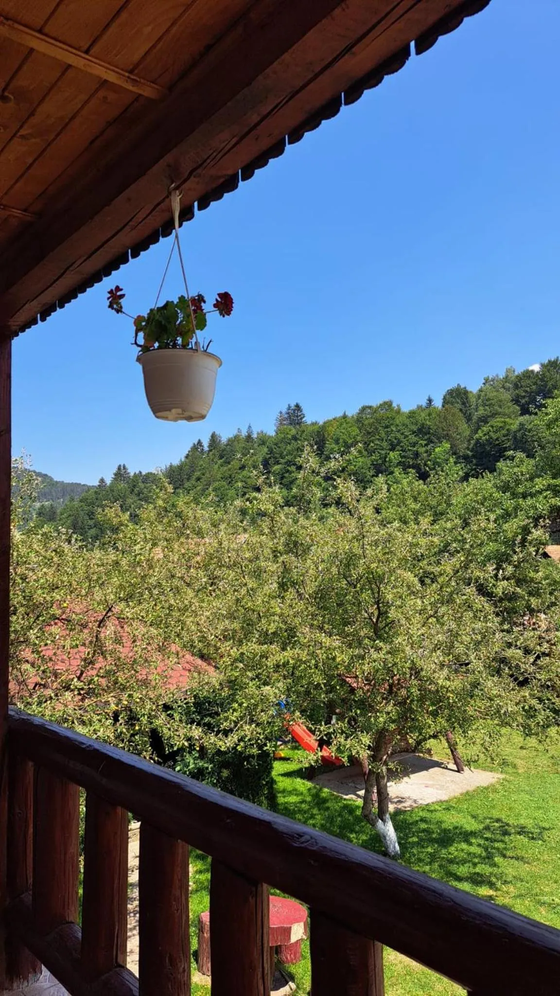 Day in Pensiunea Luminita