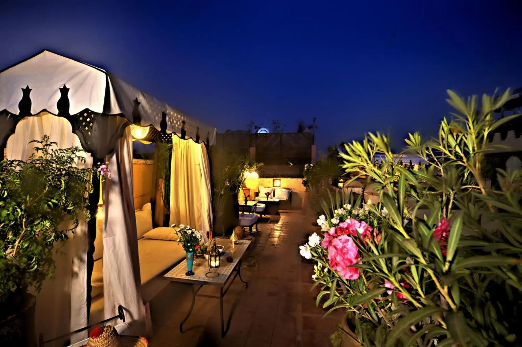 Balcony/Terrace in Riad Dar El Souk