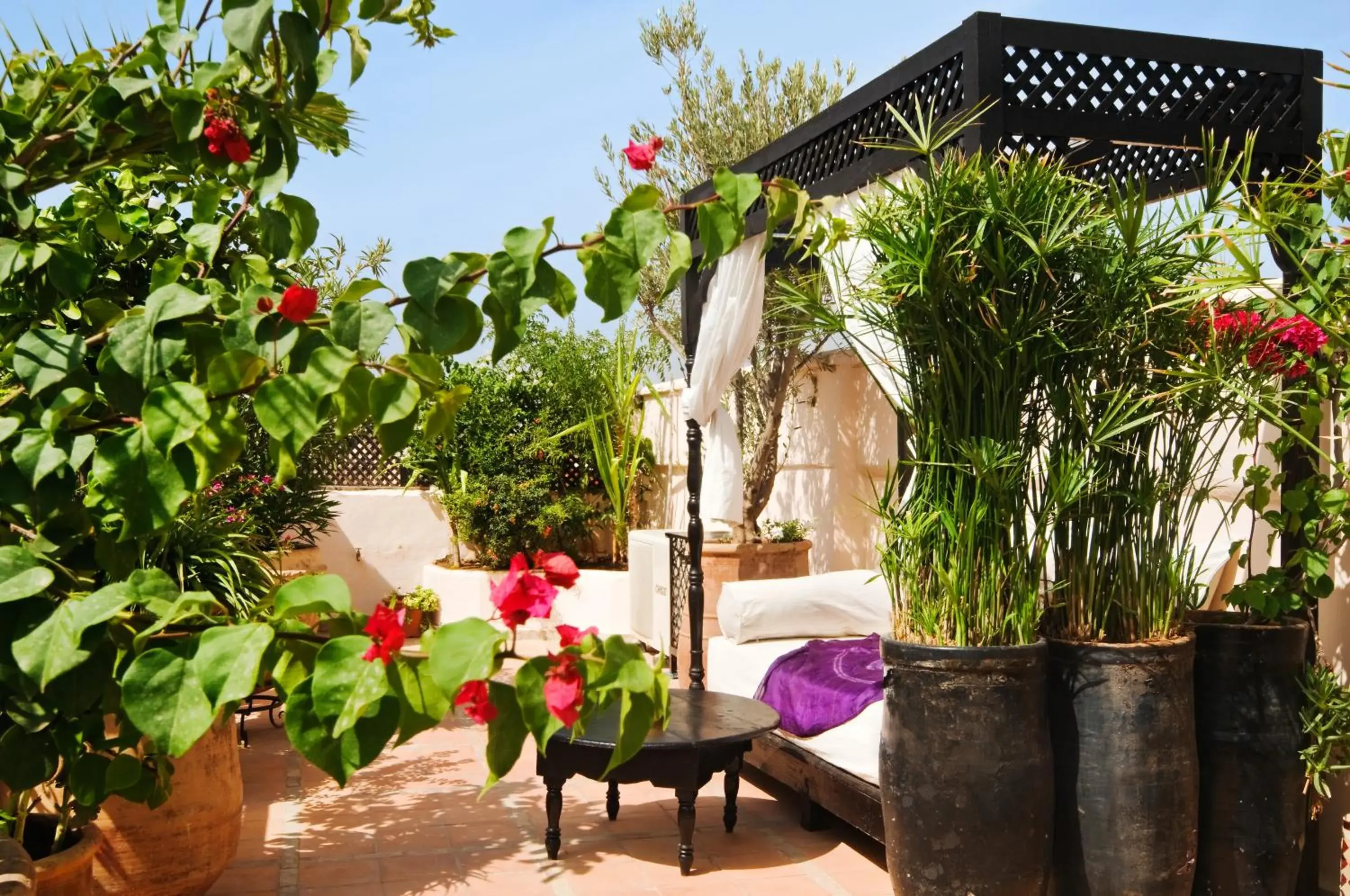 Balcony/Terrace, Property Building in Riad Dar El Souk