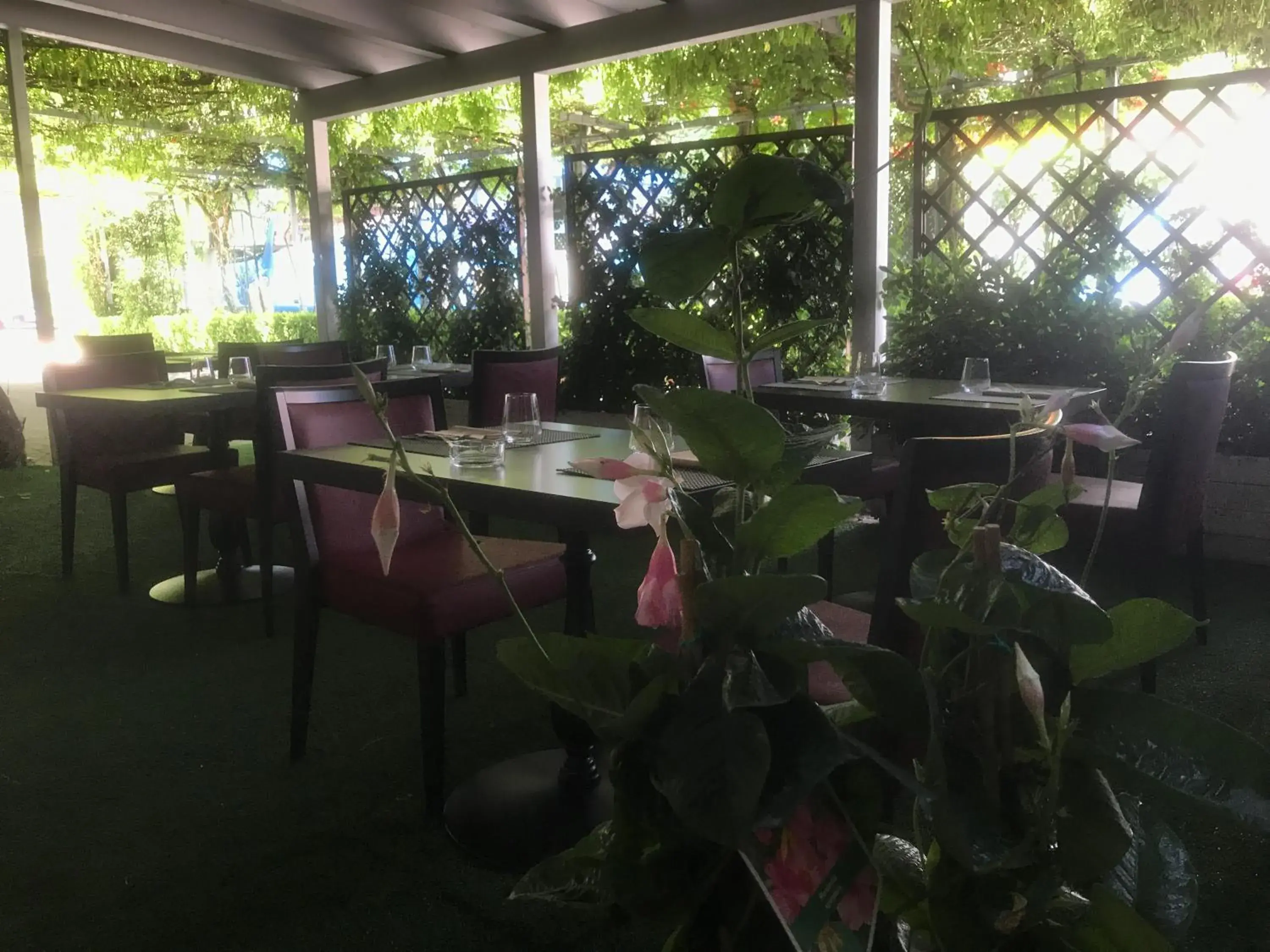 Restaurant/Places to Eat in Albergo Ristorante Protti