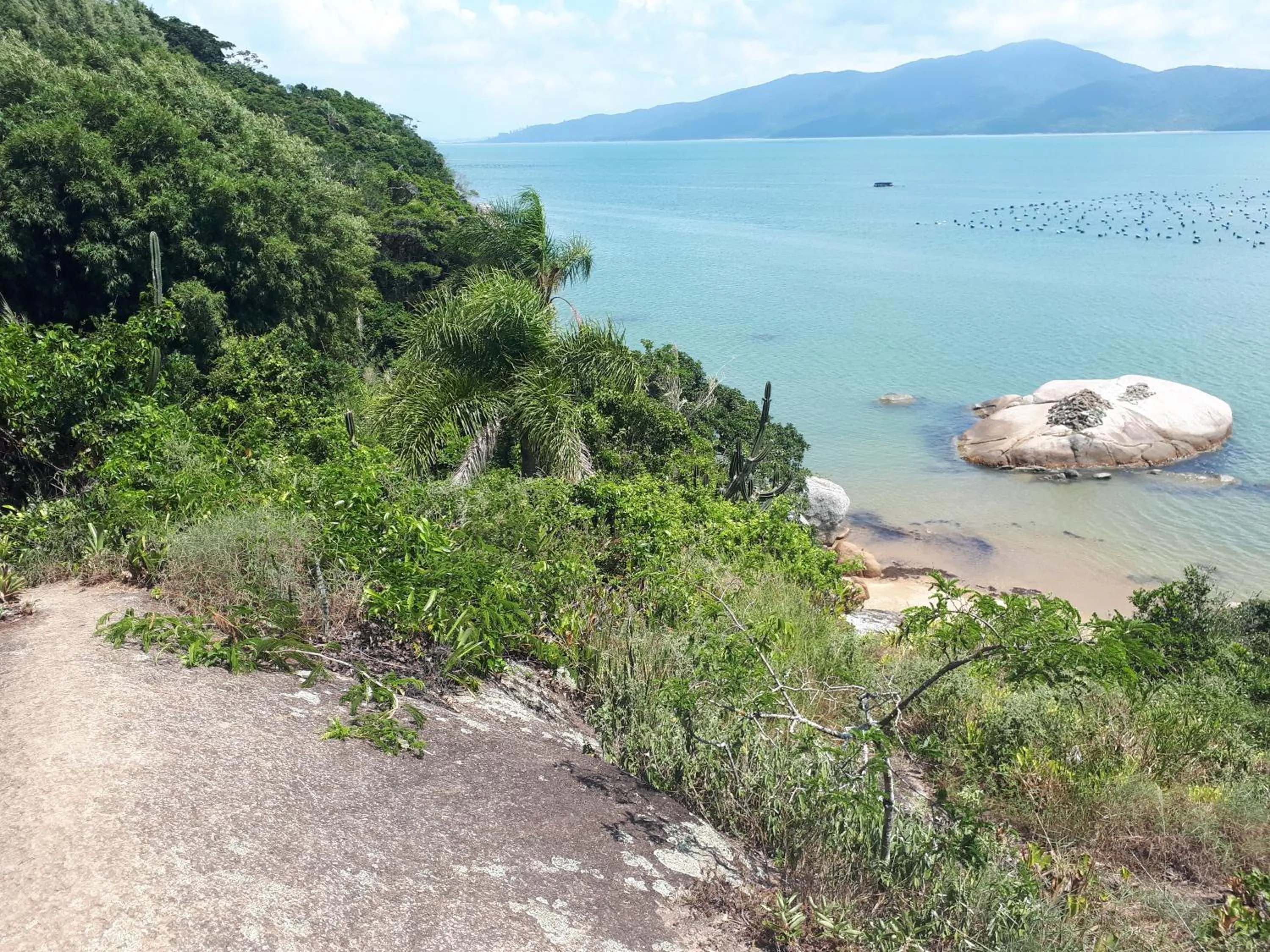 Tainha da Praia Aparthotel