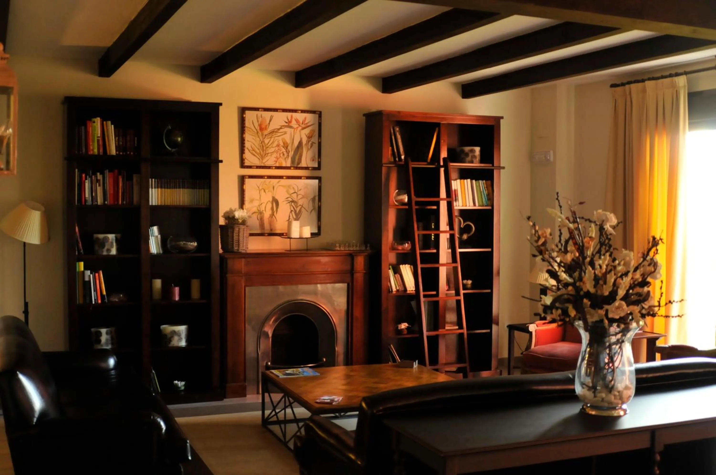 Entertainment in Hotel El Rondón