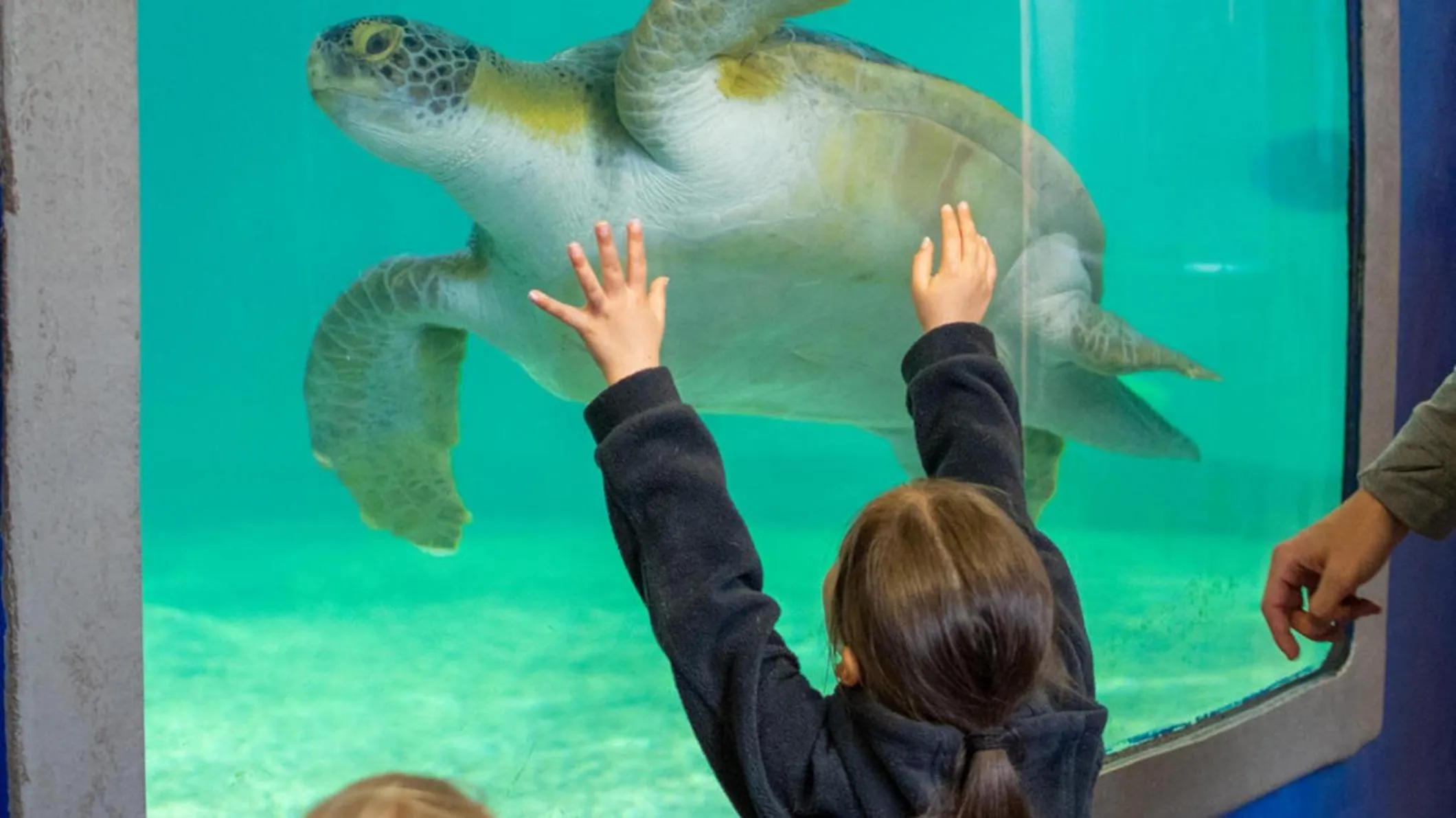 Nearby landmark in Holiday Inn Resort South Padre Island-Beach Front by IHG