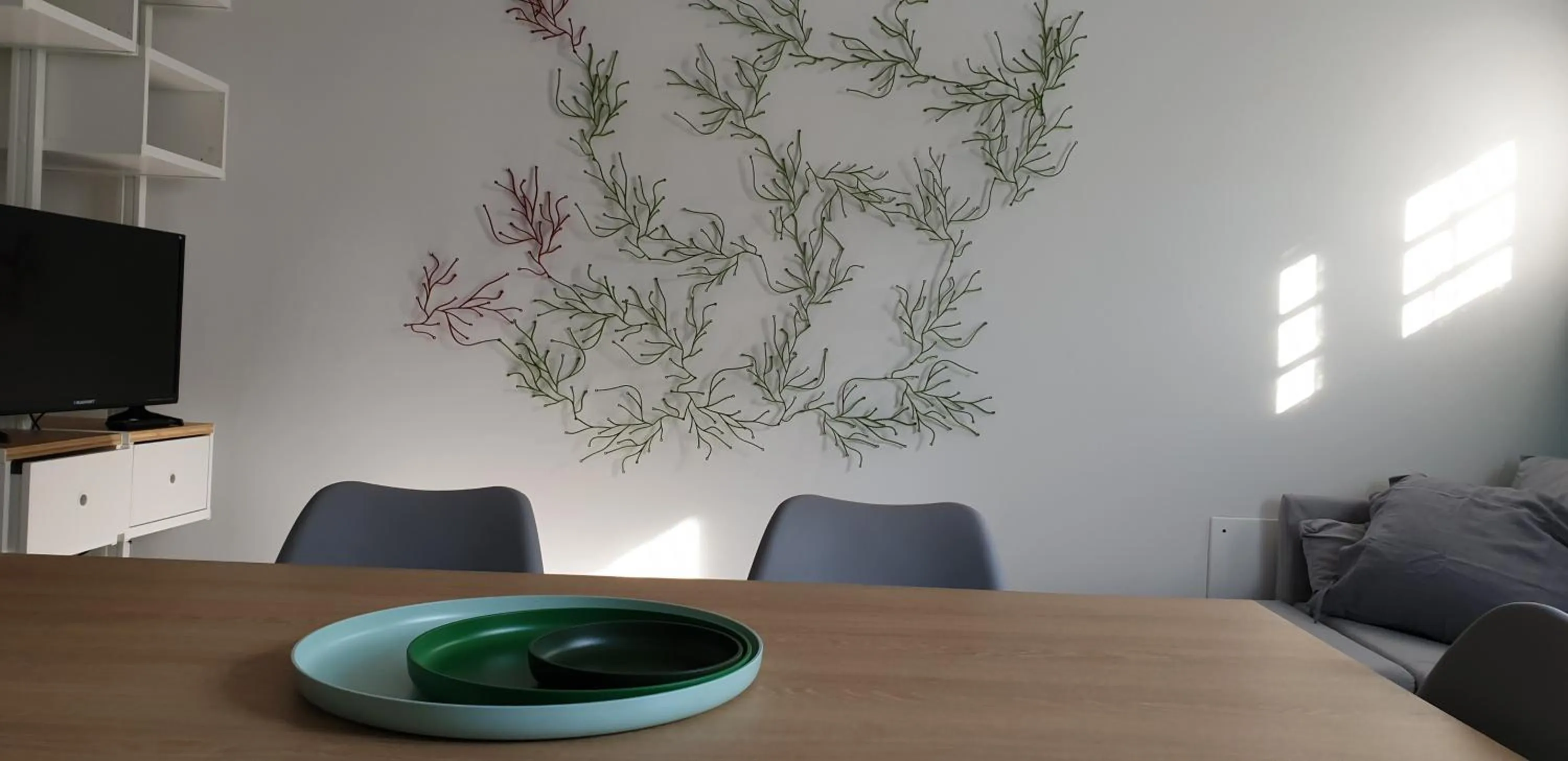 TV and multimedia in 150 LatoMare