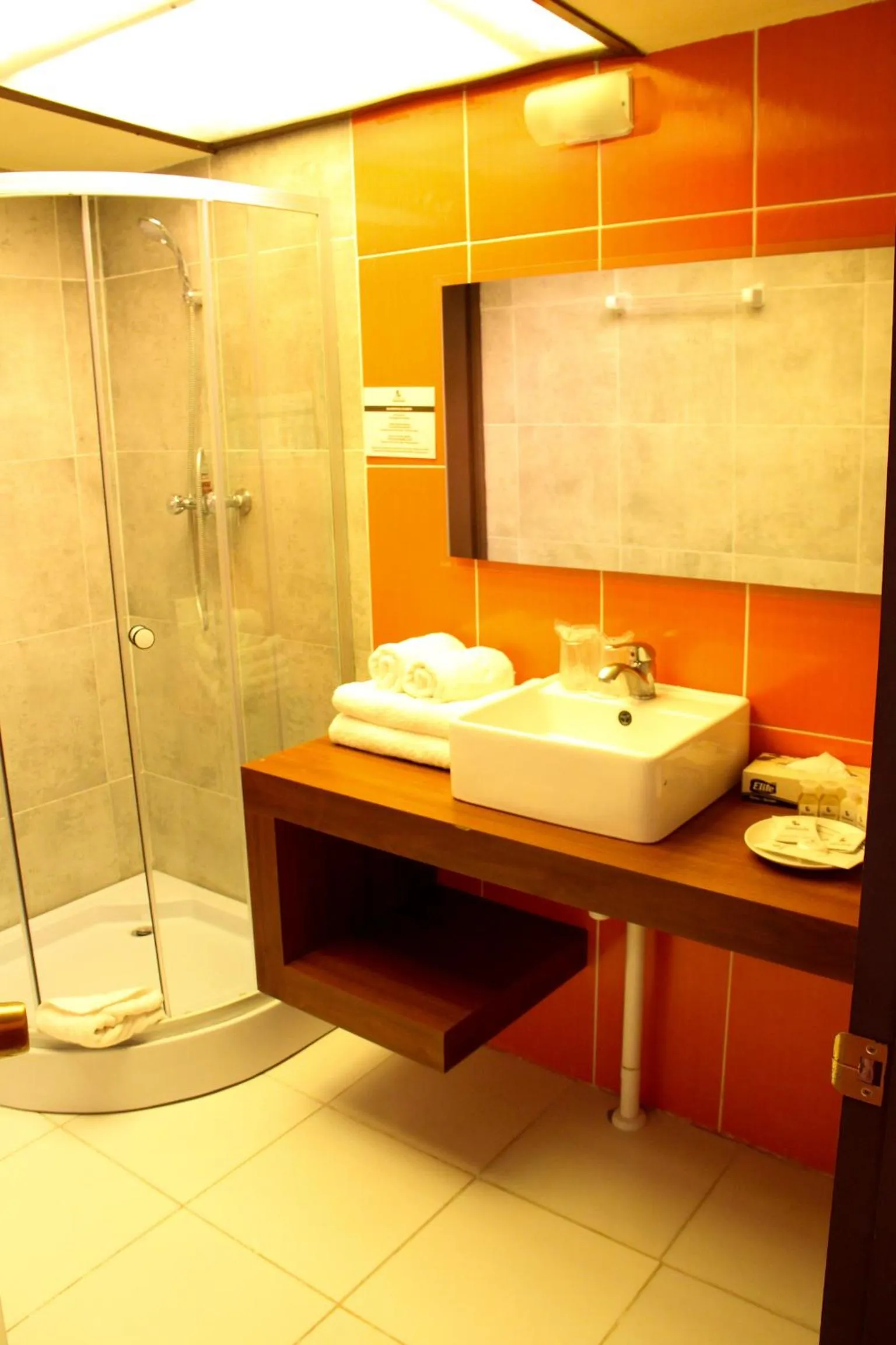 Bathroom in Hotel Palacio de Sal