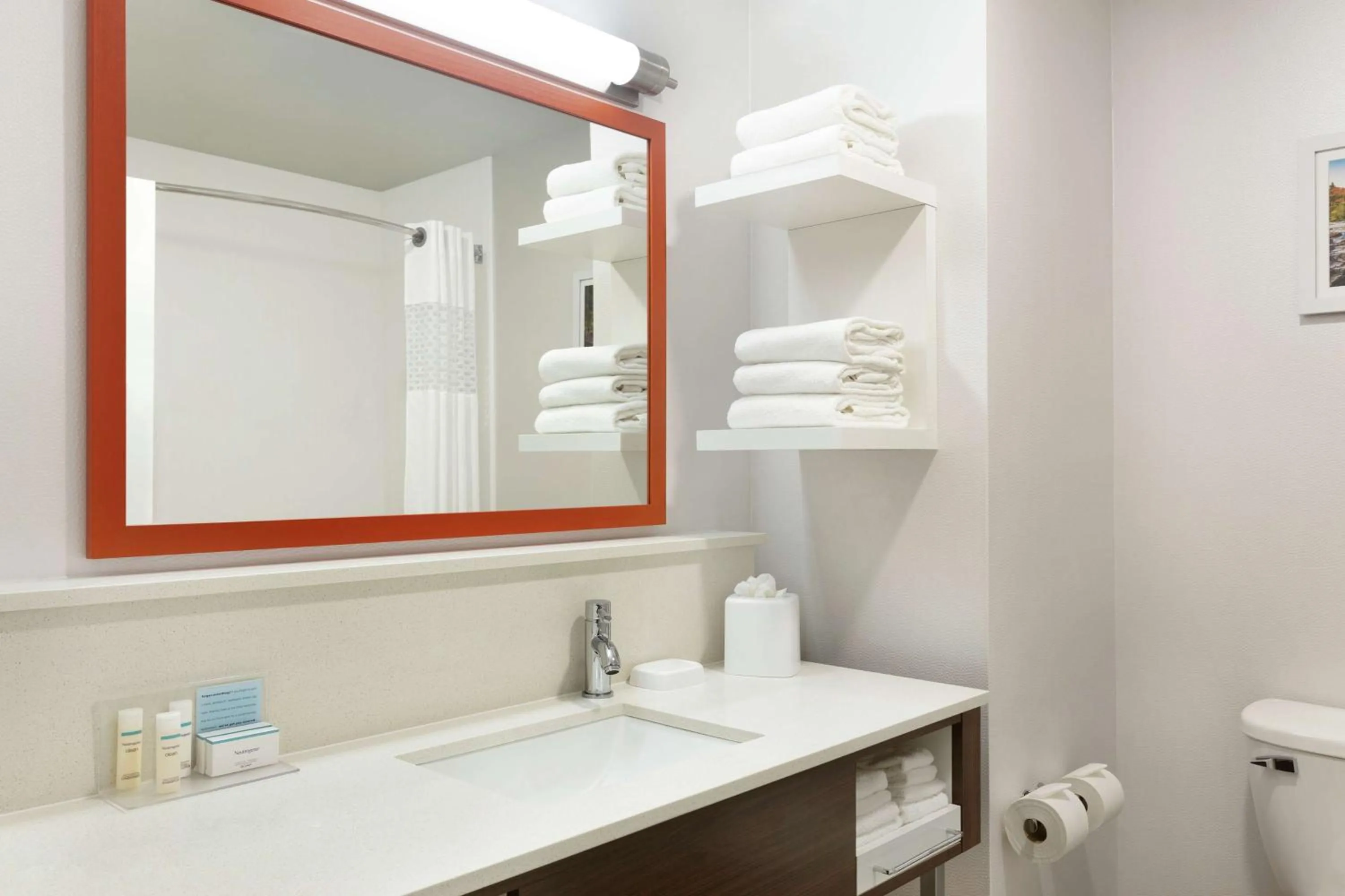 Bathroom in Hampton Inn Dover