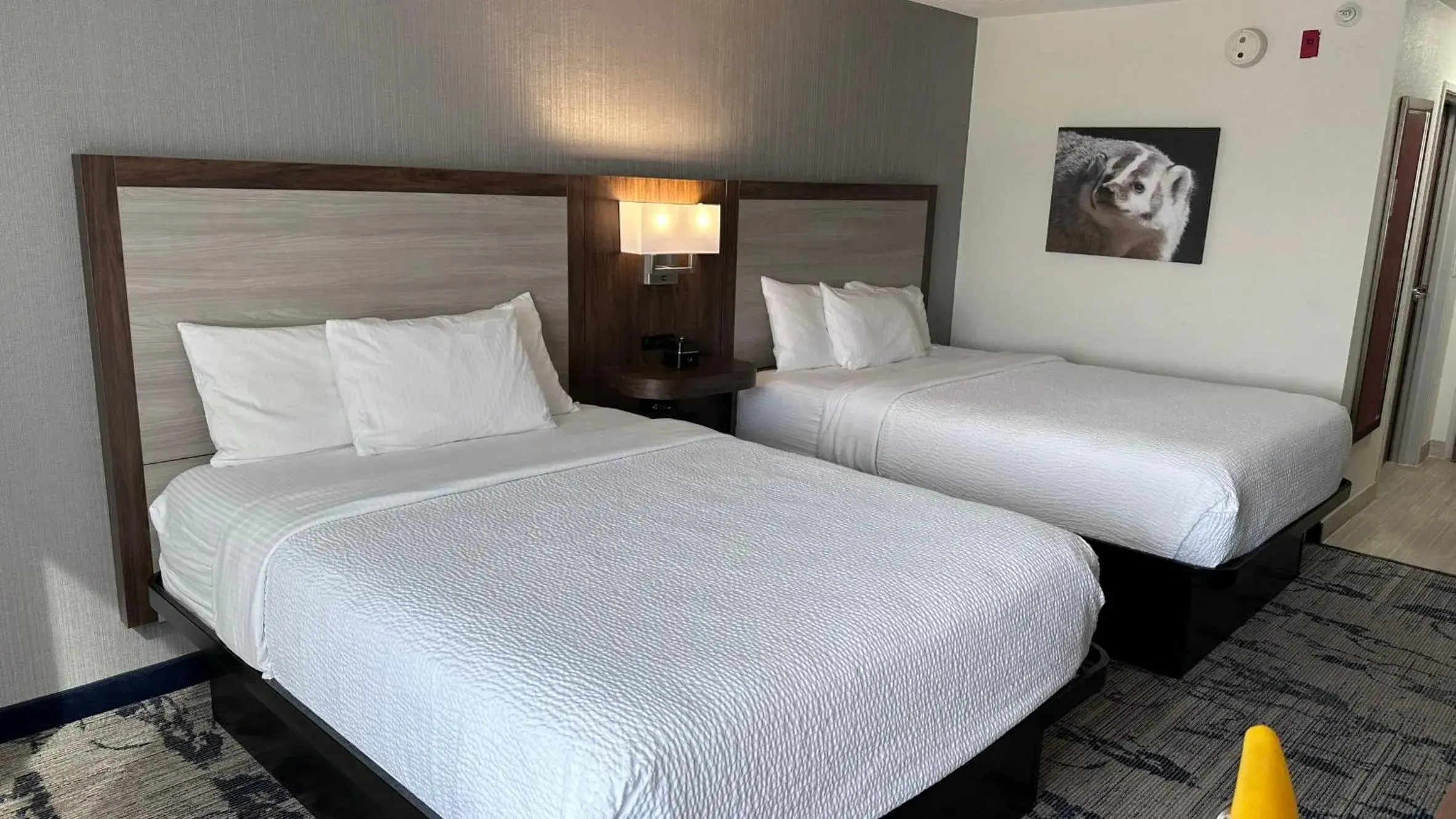 Bedroom, Bed in La Quinta by Wyndham Milwaukee SW New Berlin Bedroom, Bed in La Quinta by Wyndham Milwaukee SW New Berlin