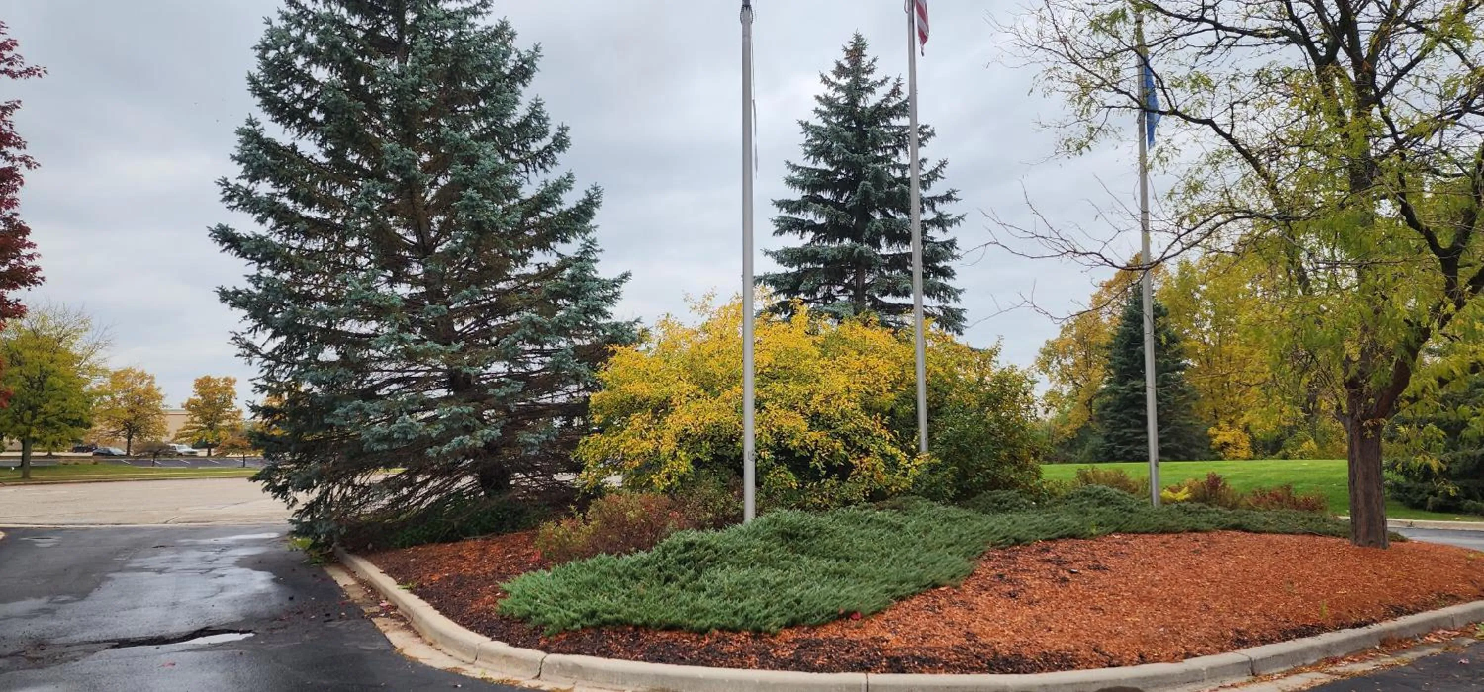 Natural landscape in La Quinta by Wyndham Milwaukee SW New Berlin