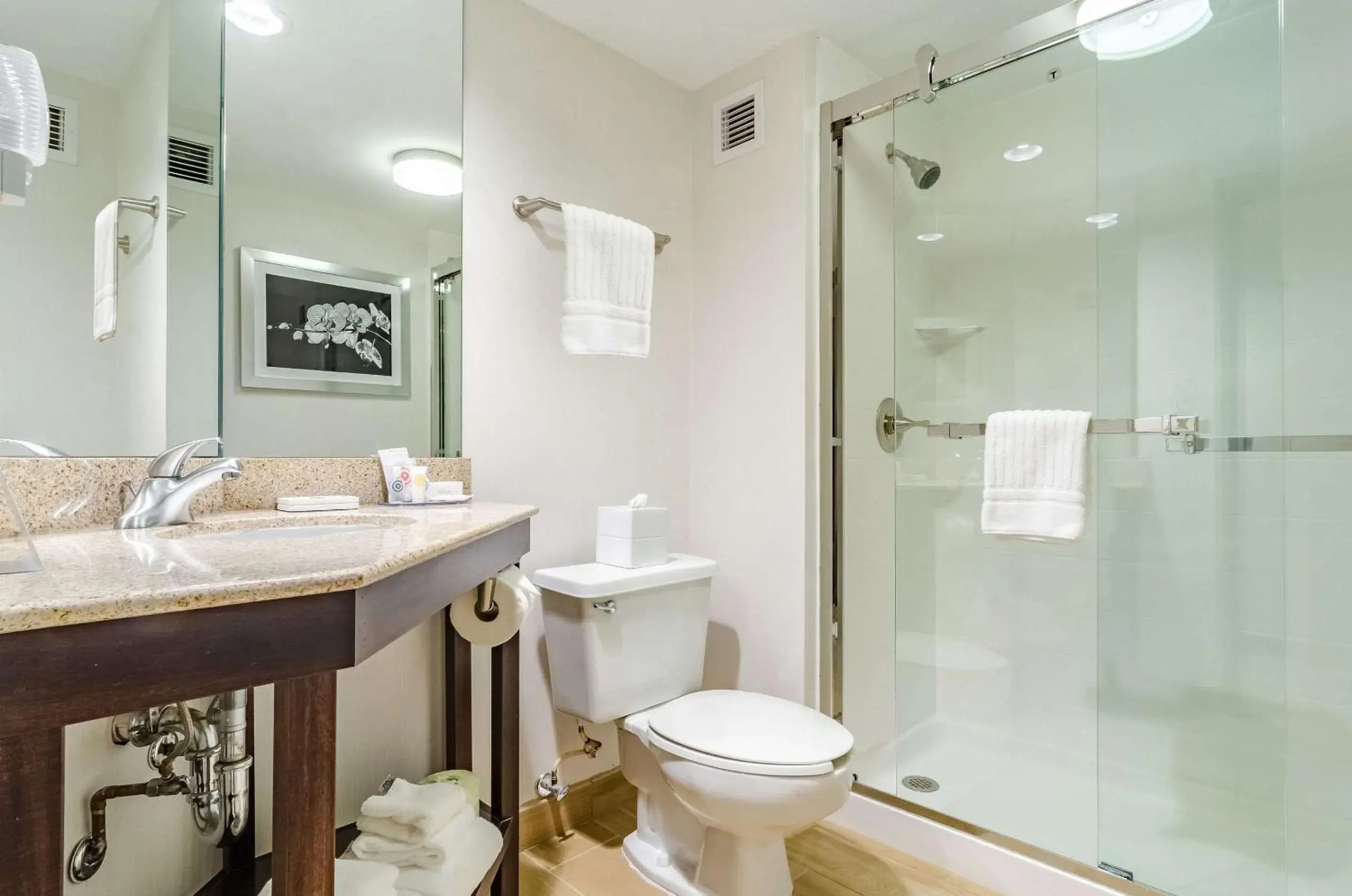 Bedroom in Comfort Inn Raleigh Midtown Bedroom in Comfort Inn Raleigh Midtown