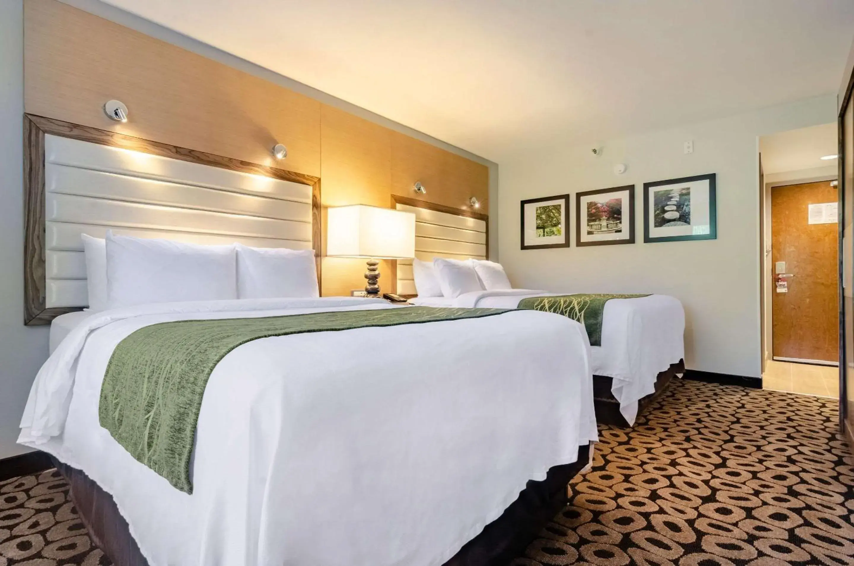 Bedroom, Bed in Comfort Inn Raleigh Midtown Bedroom, Bed in Comfort Inn Raleigh Midtown