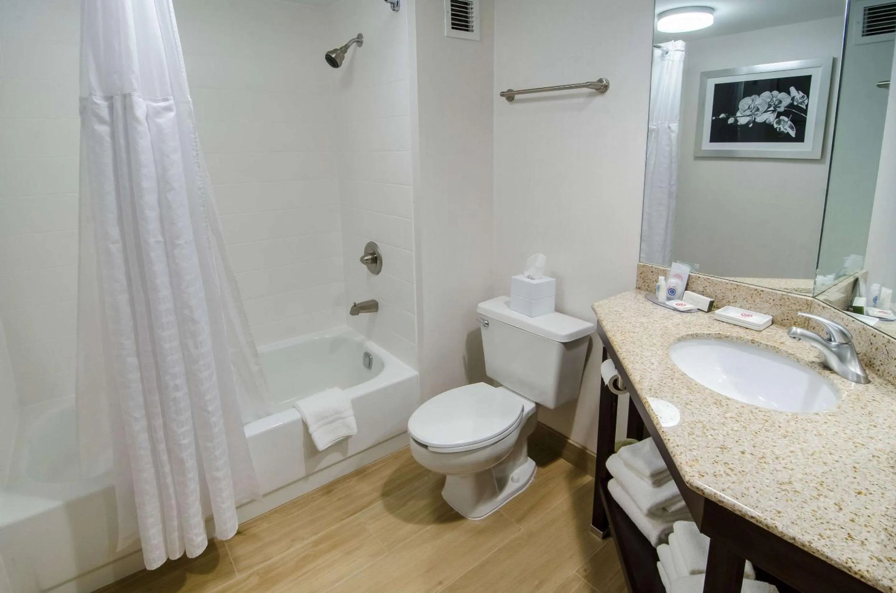 Bedroom in Comfort Inn Raleigh Midtown