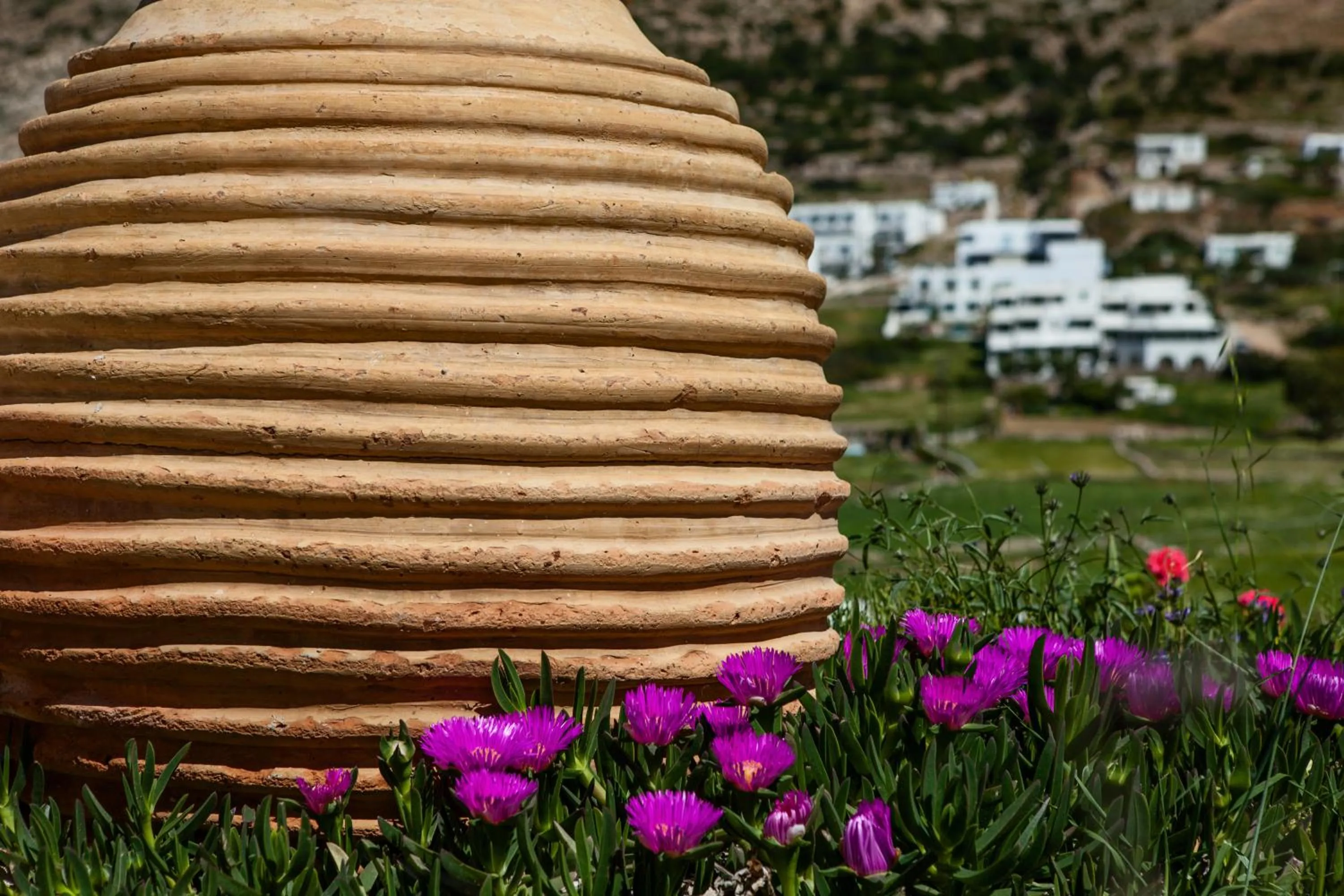 Area and facilities in Xerolithia