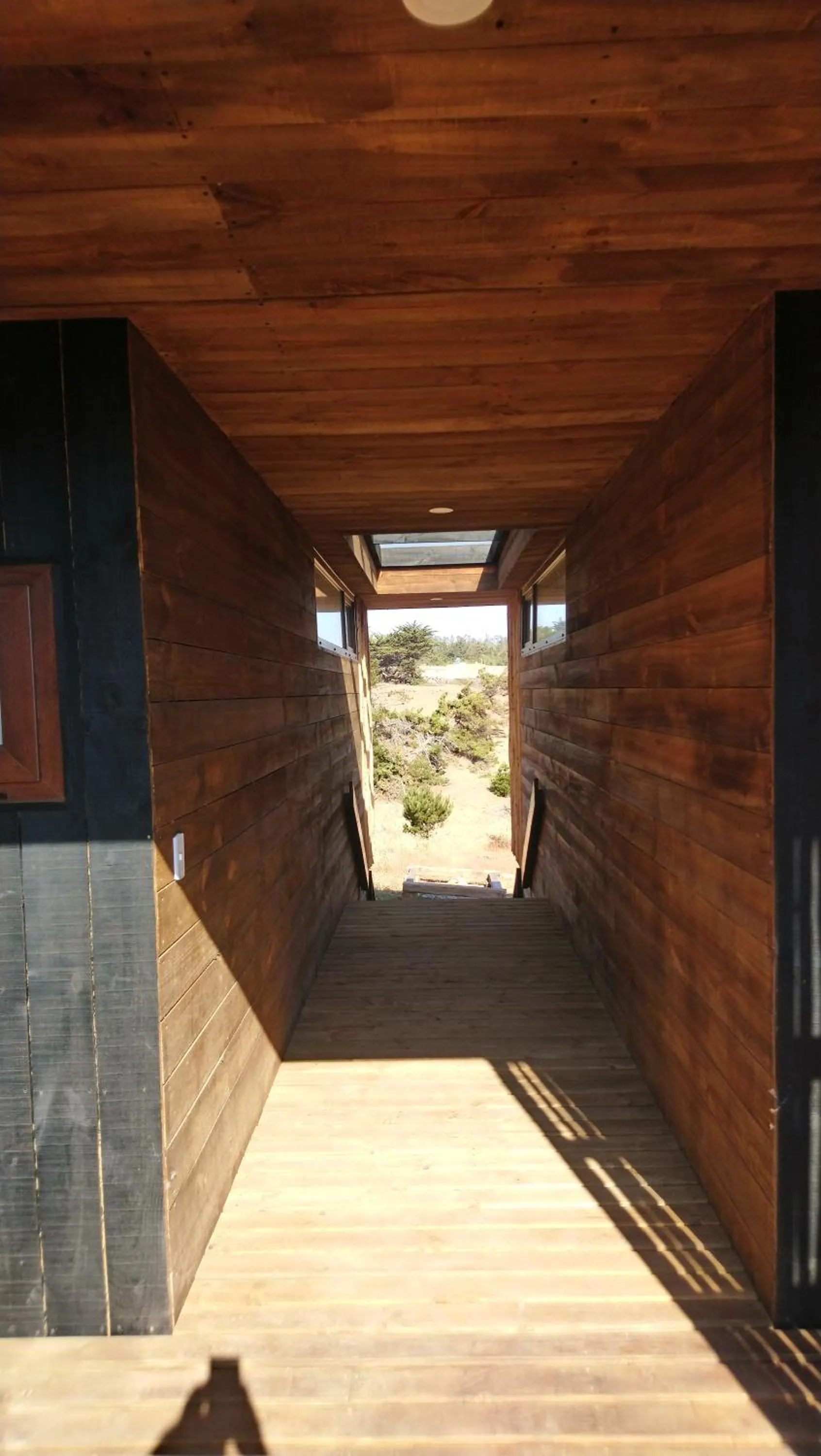 Lotus Lodge