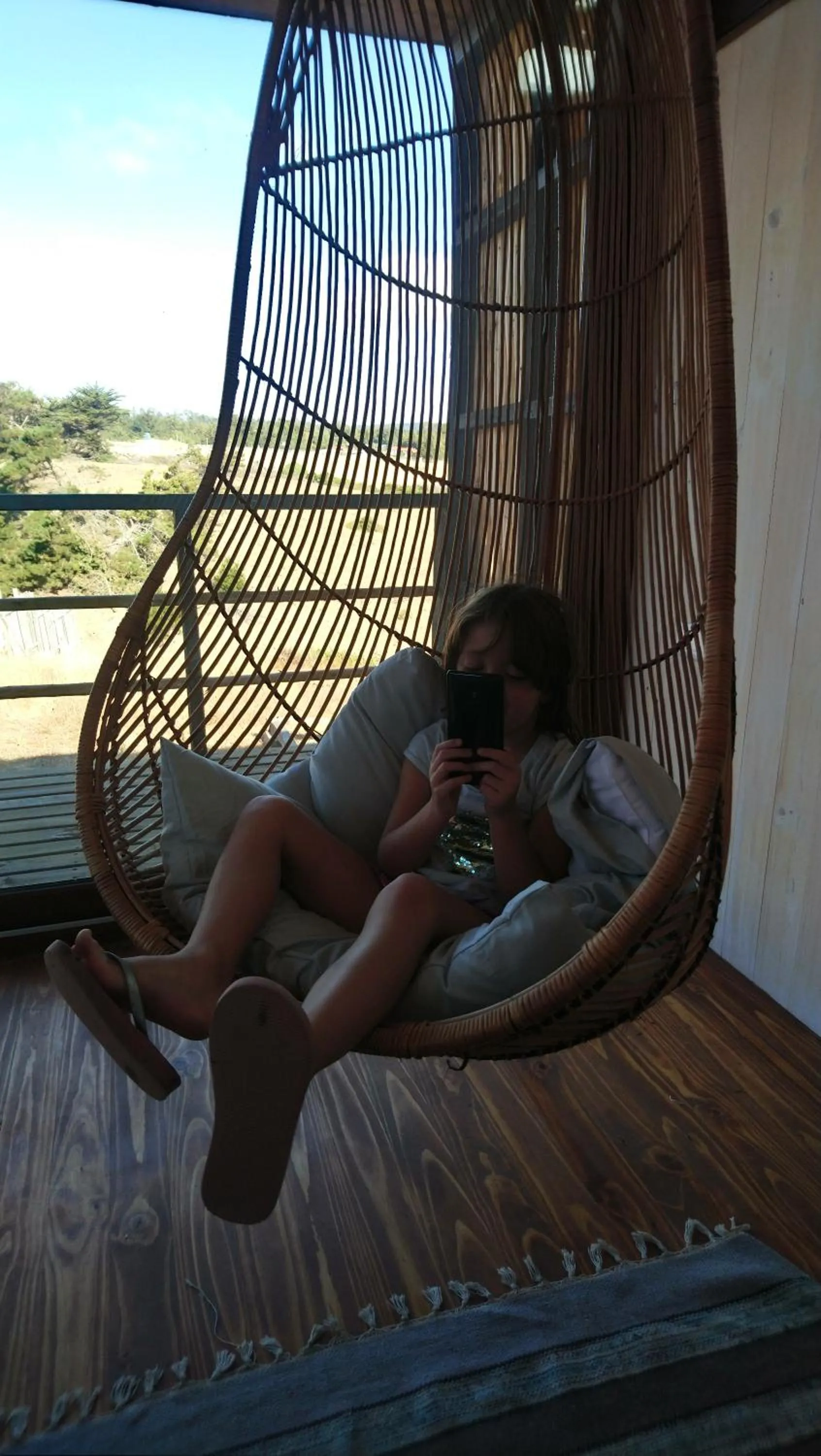 Lotus Lodge