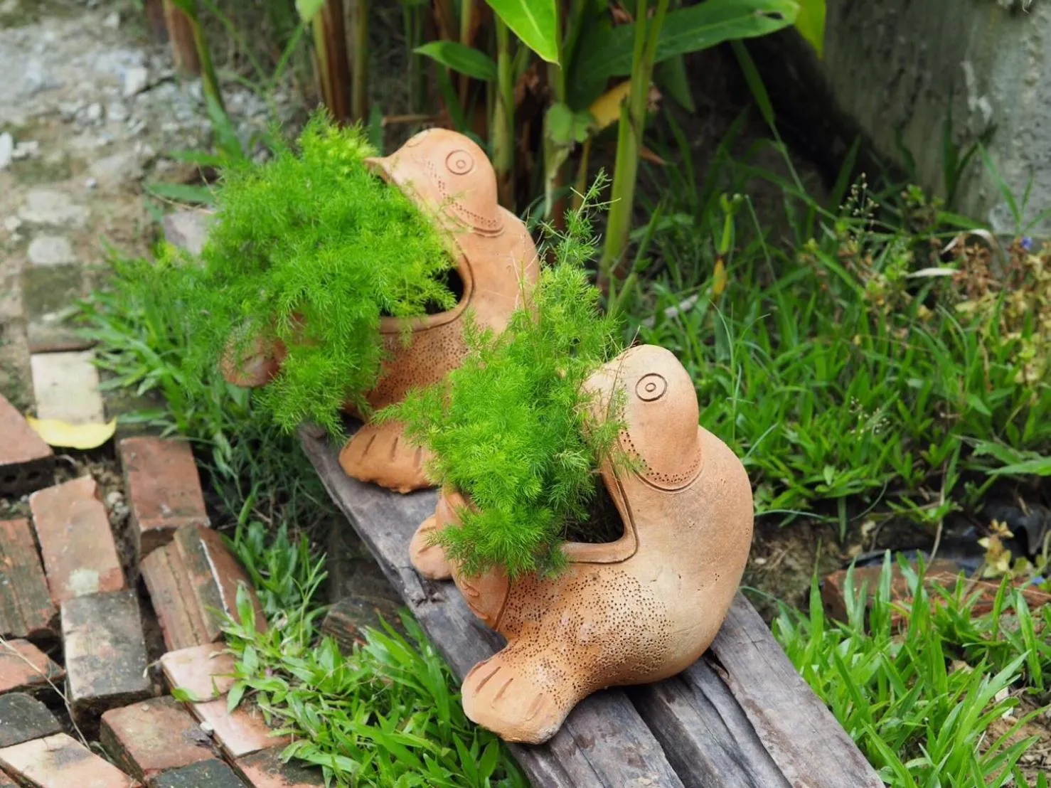 Natural landscape in BaanSuk Sukhothai Resort