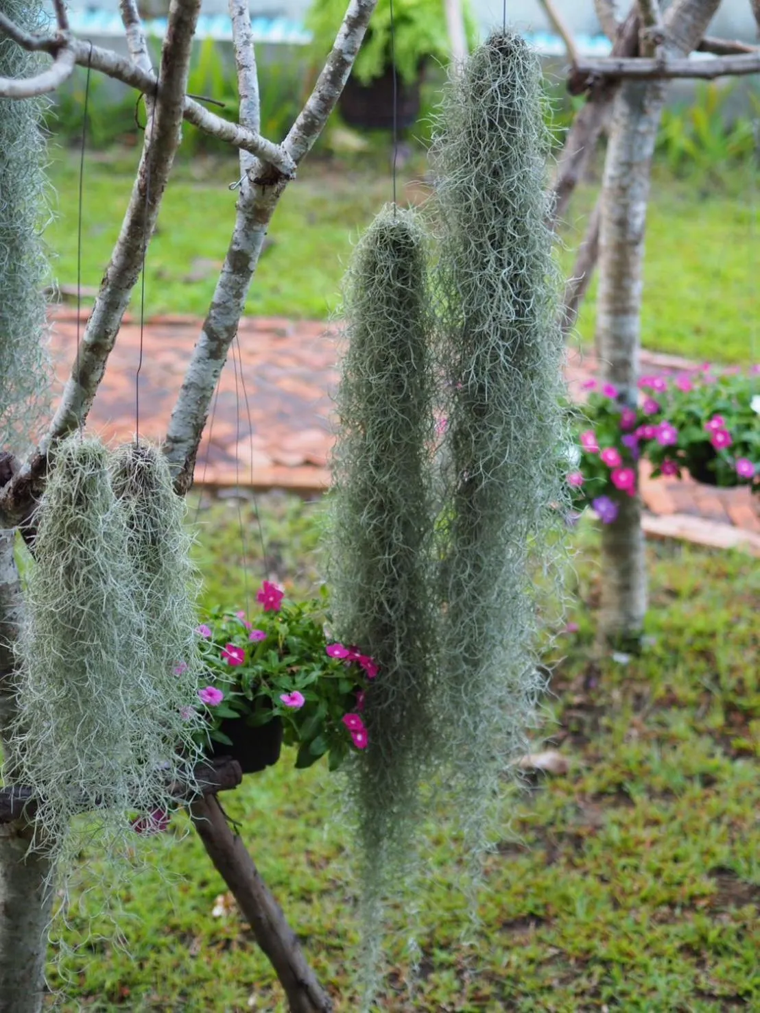 Natural landscape in BaanSuk Sukhothai Resort