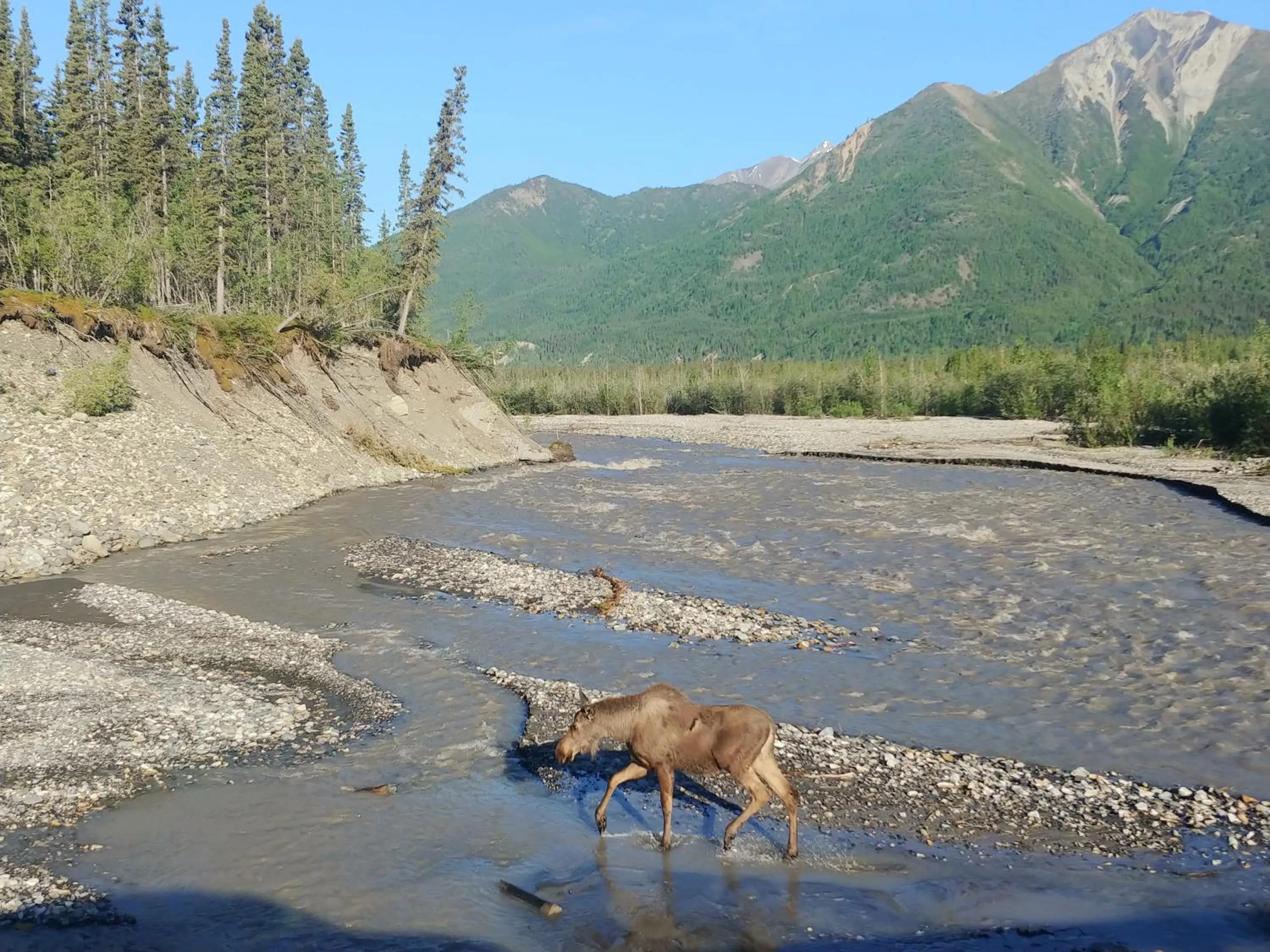 Blackburn Cabins - McCarthy, Alaska