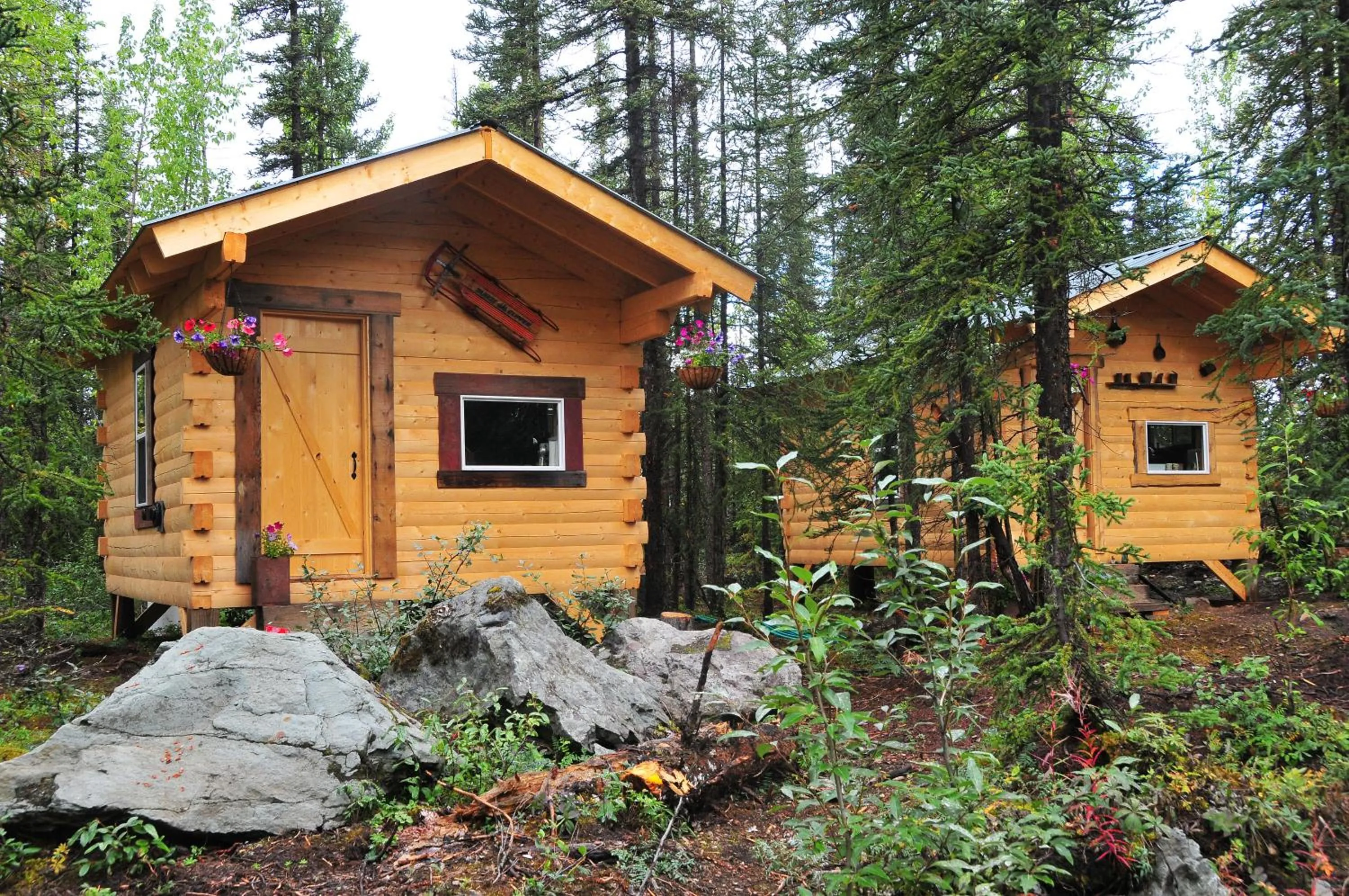 Blackburn Cabins - McCarthy, Alaska