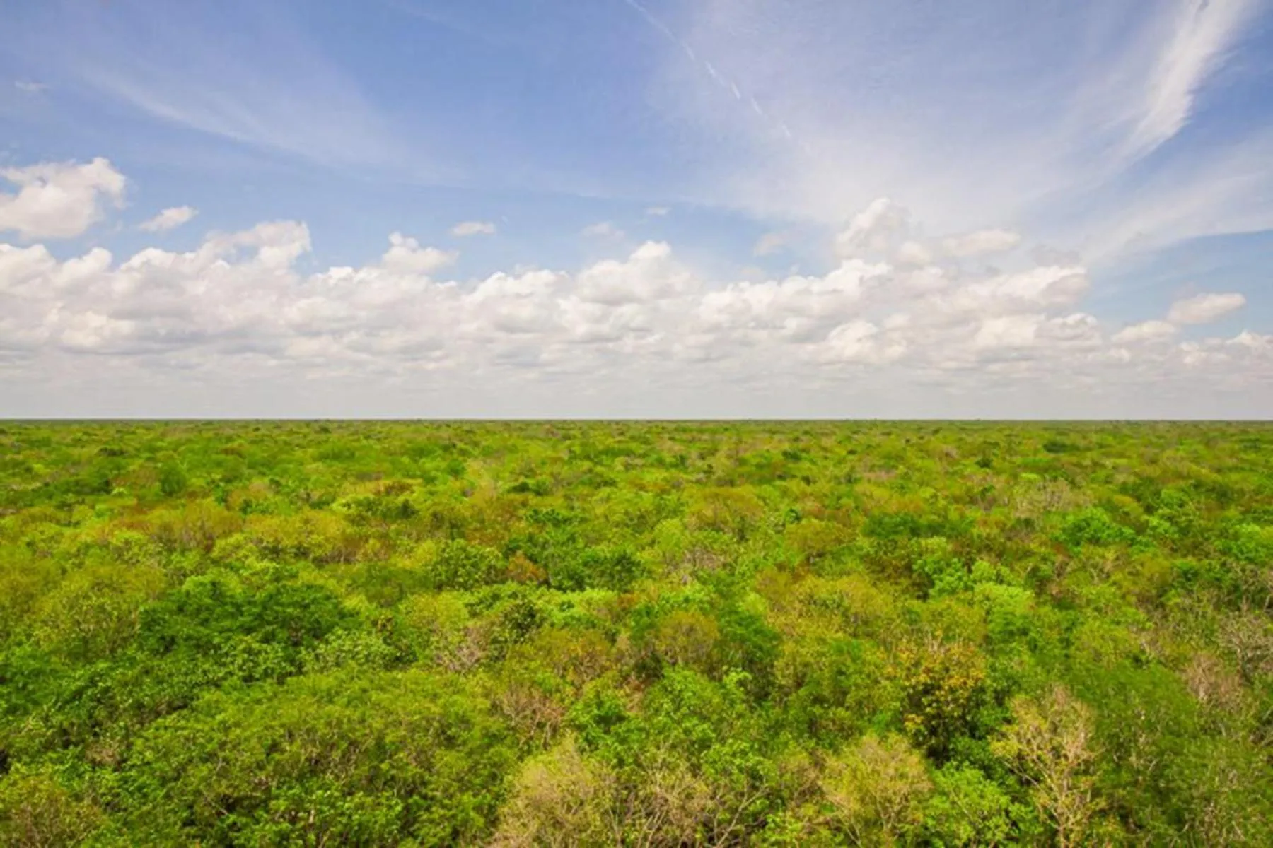 Natural landscape in Ciudad Mayakoba Homes by Vimex