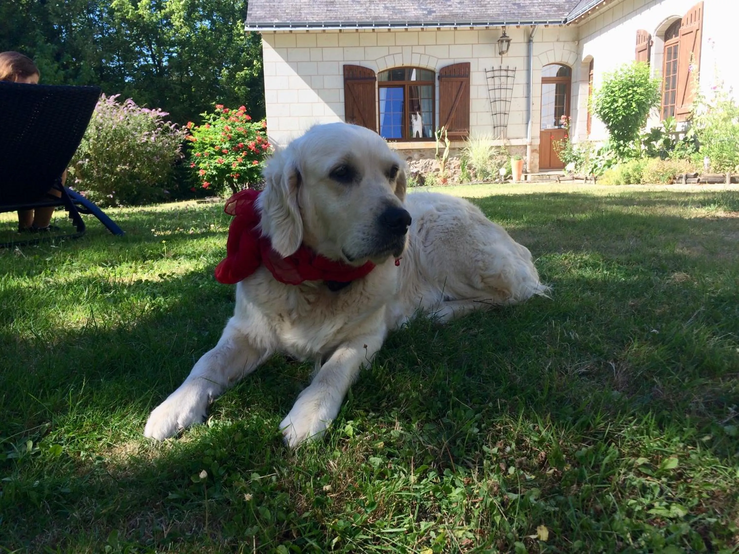 Pets in Domaine de Joreau