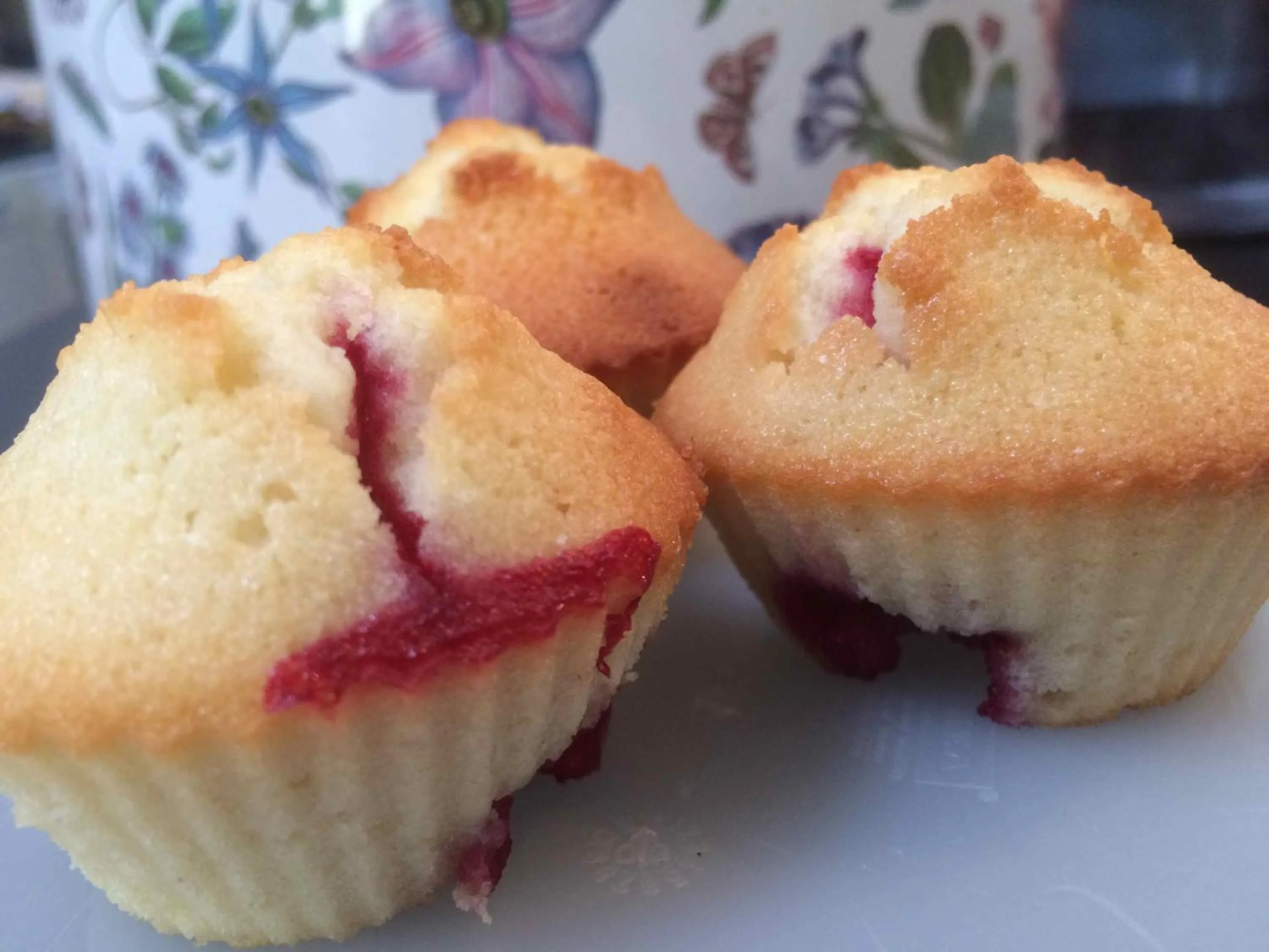 Breakfast in Domaine de Joreau