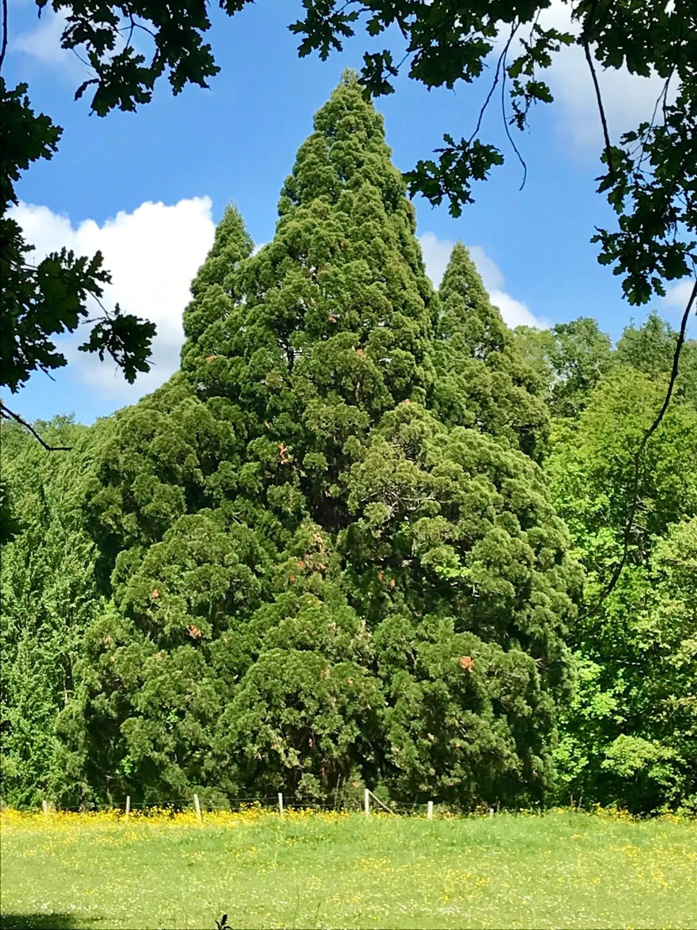 Natural landscape in Domaine de Joreau