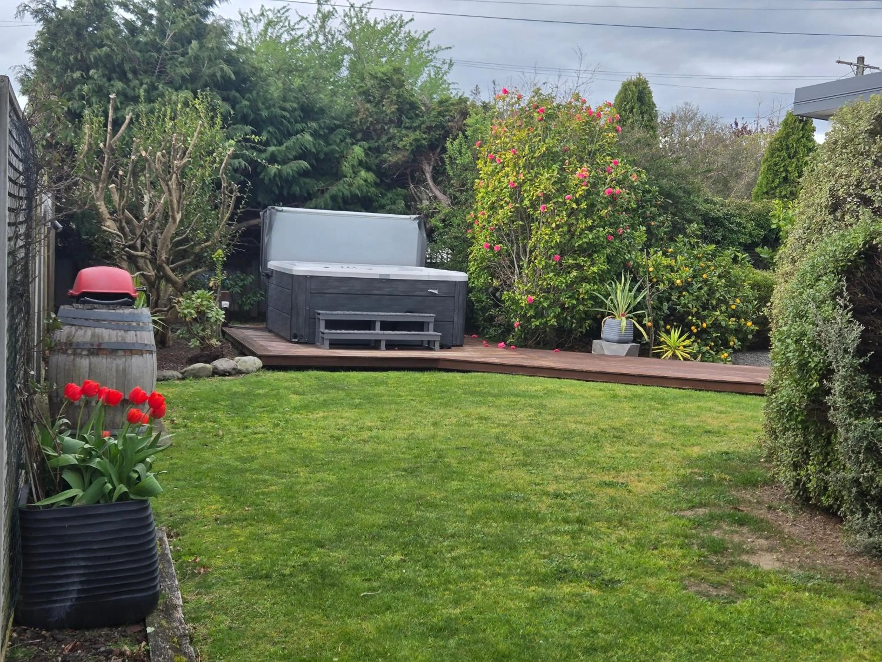 Garden view in De Vine Martinborough 14 Cologne Street