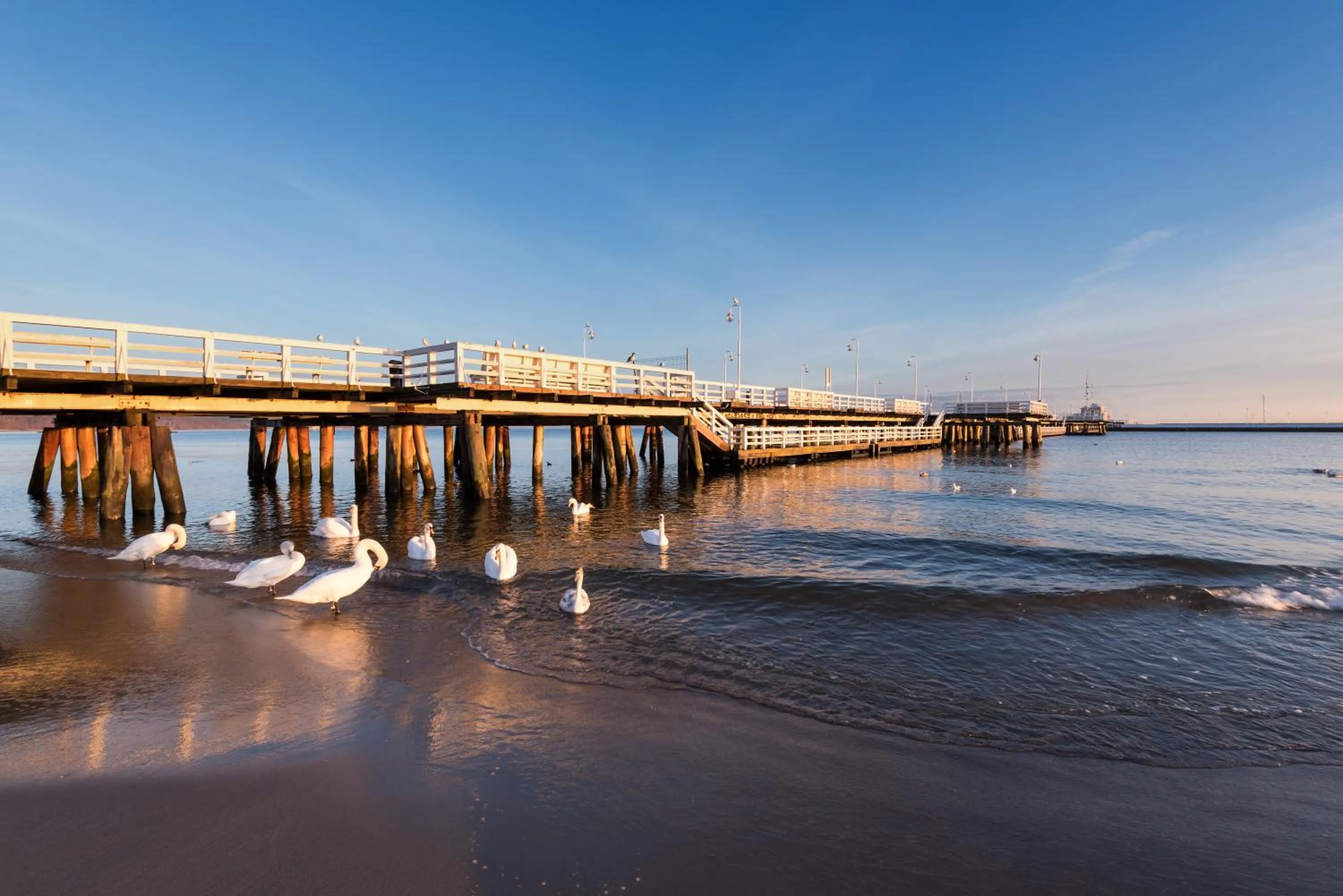 Area and facilities in Holiday Inn Gdansk - City Centre by IHG