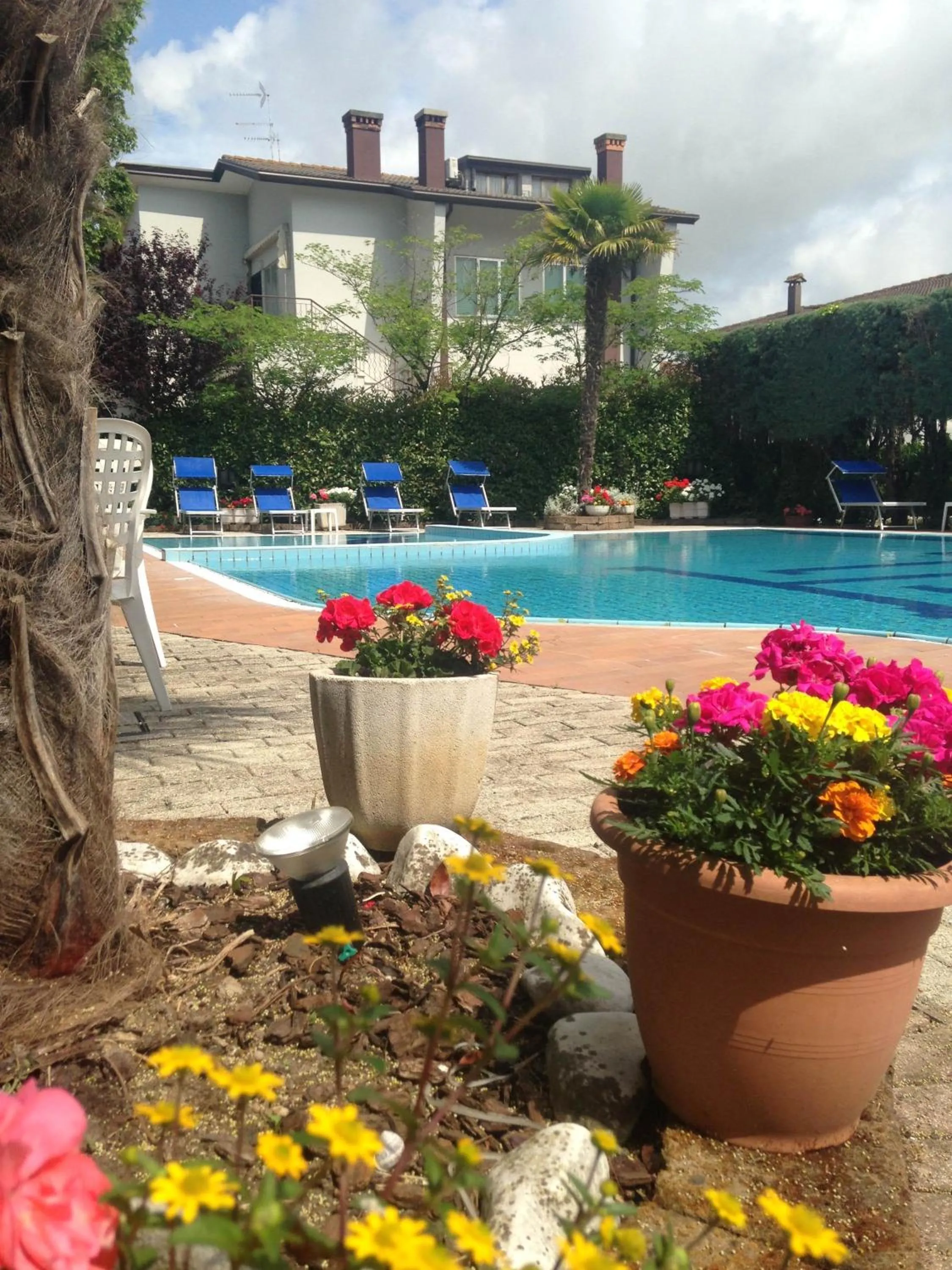 Garden, Swimming Pool in Hotel Centrale