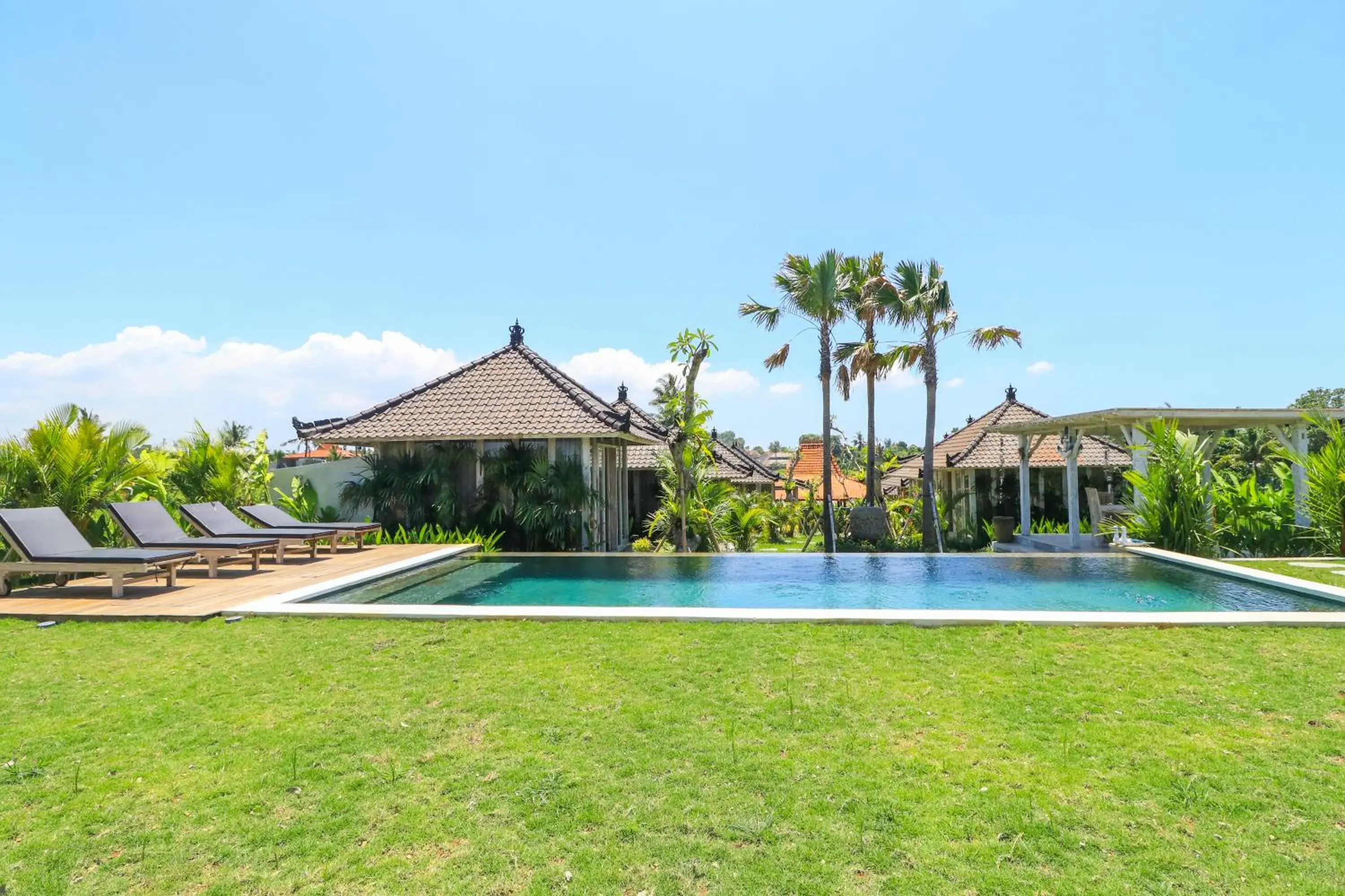 Pool view in Villa Alisha Pererenan Canggu Pool view in Villa Alisha Pererenan Canggu