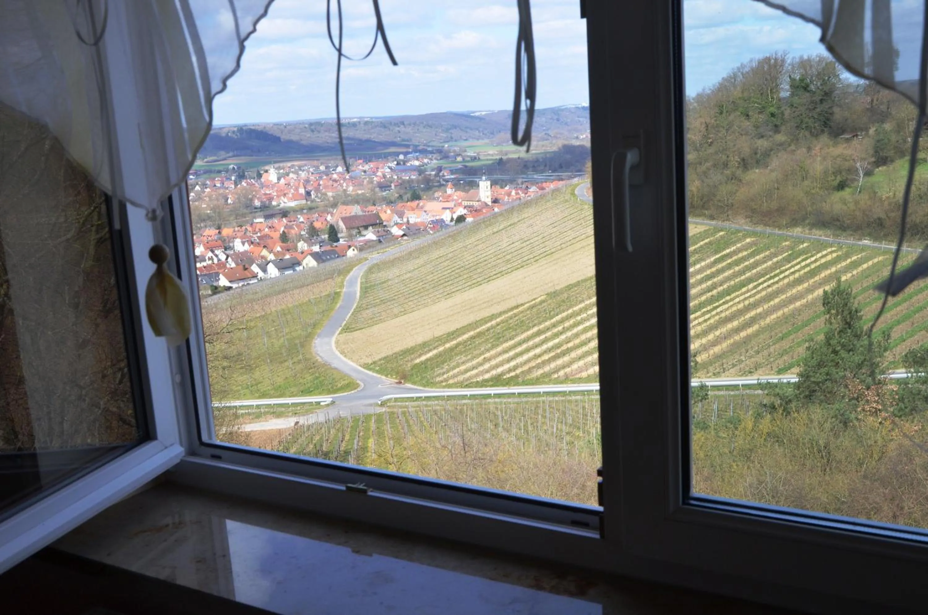 View (from property/room) in Kirschberghof Gästehaus und Weinverkauf