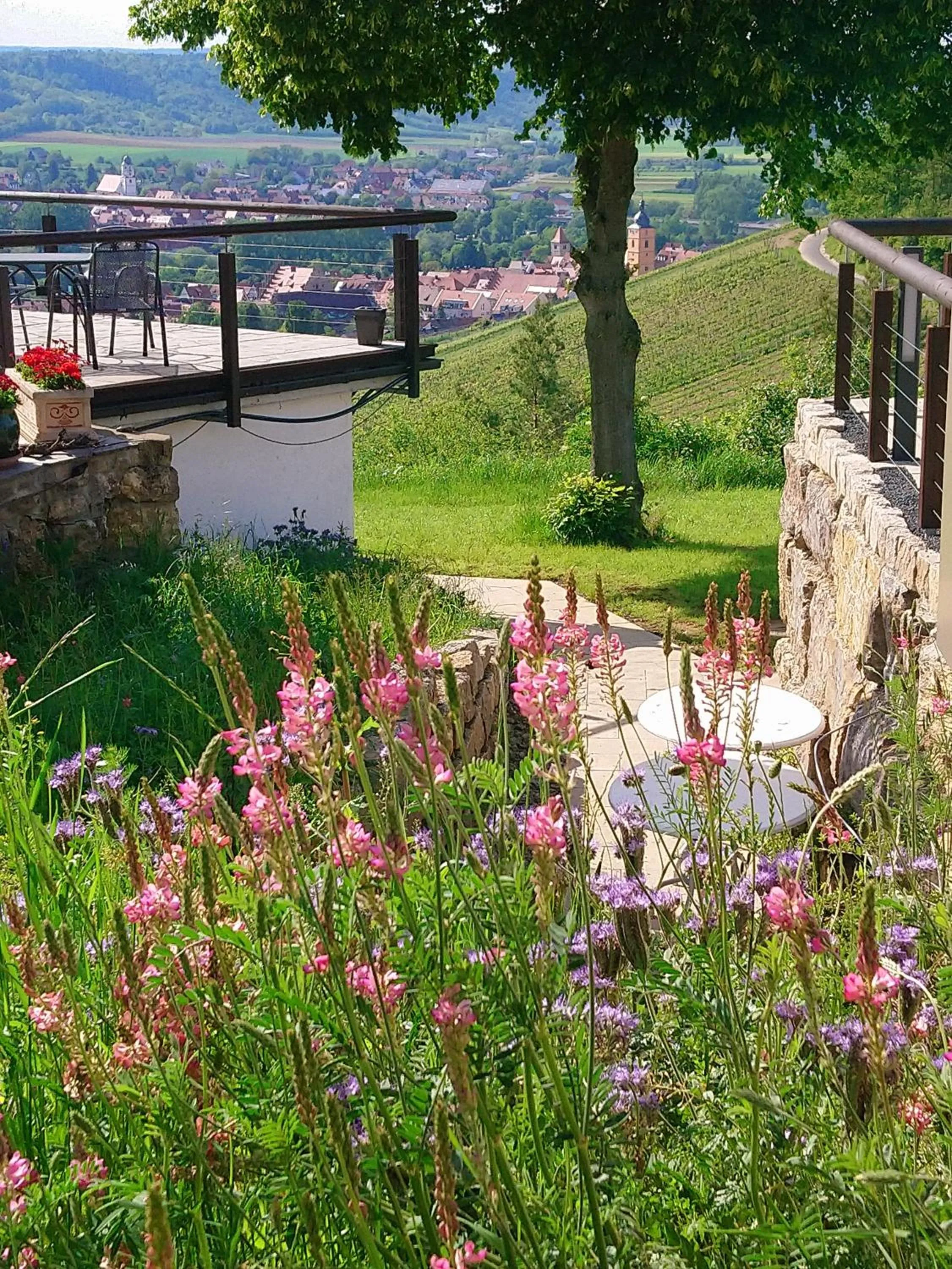 Property building in Kirschberghof Gästehaus und Weinverkauf