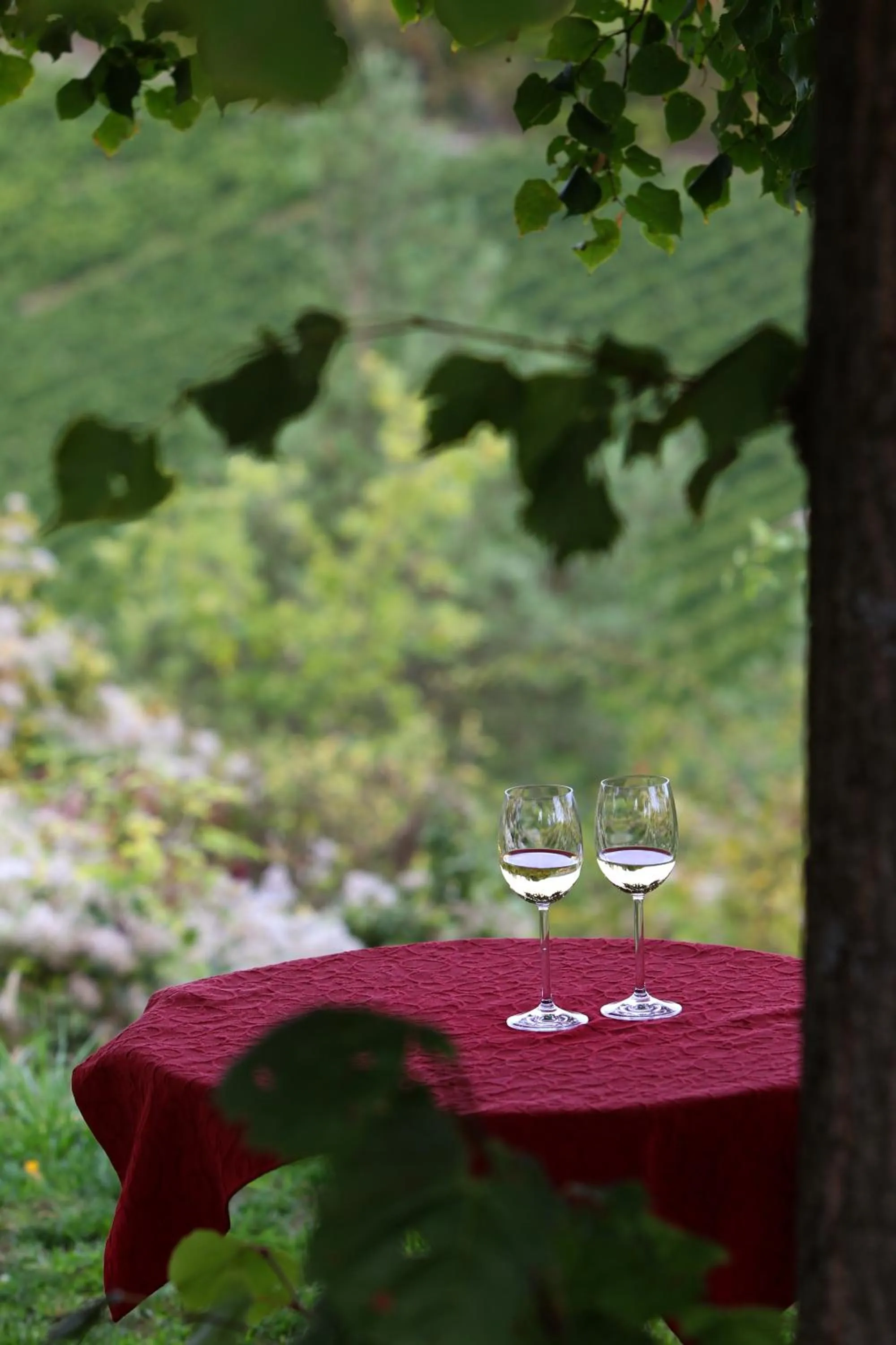 On site in Kirschberghof Gästehaus und Weinverkauf