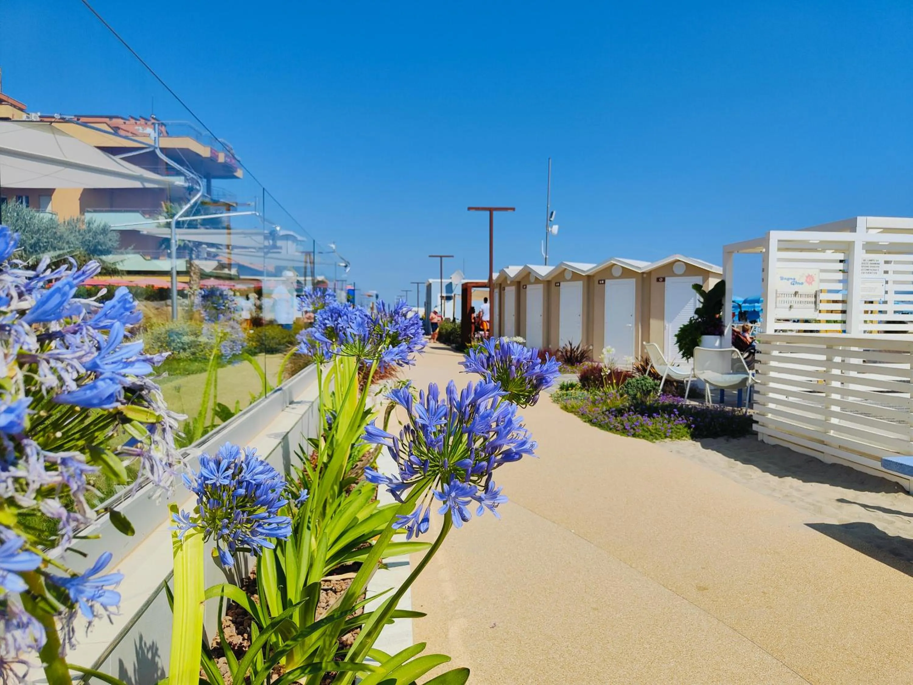 Beach in Hotel Cola Frontemare