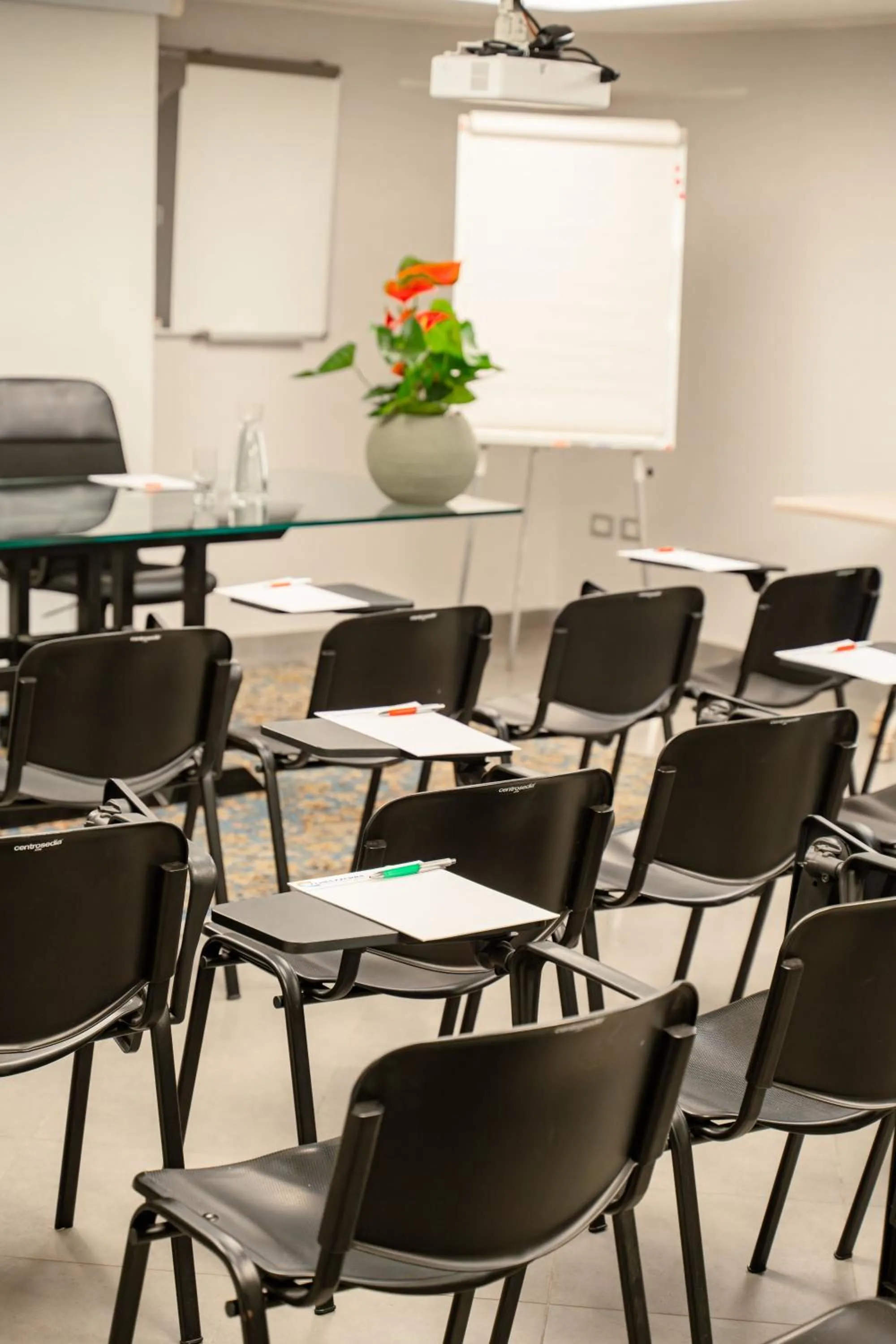 Meeting/conference room in Maritan Hotel & Spa