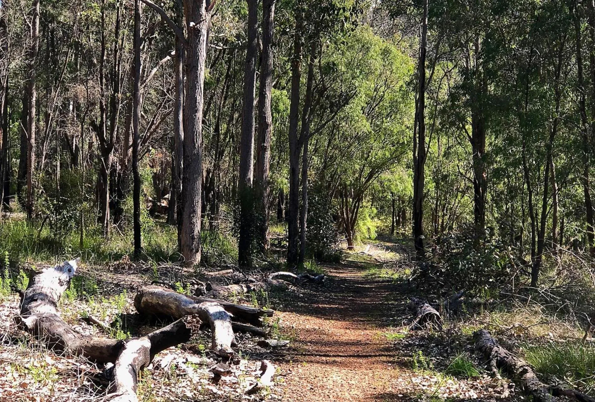 Floor plan in Banyandah - Dog Friendly - Family & Groups Welcome