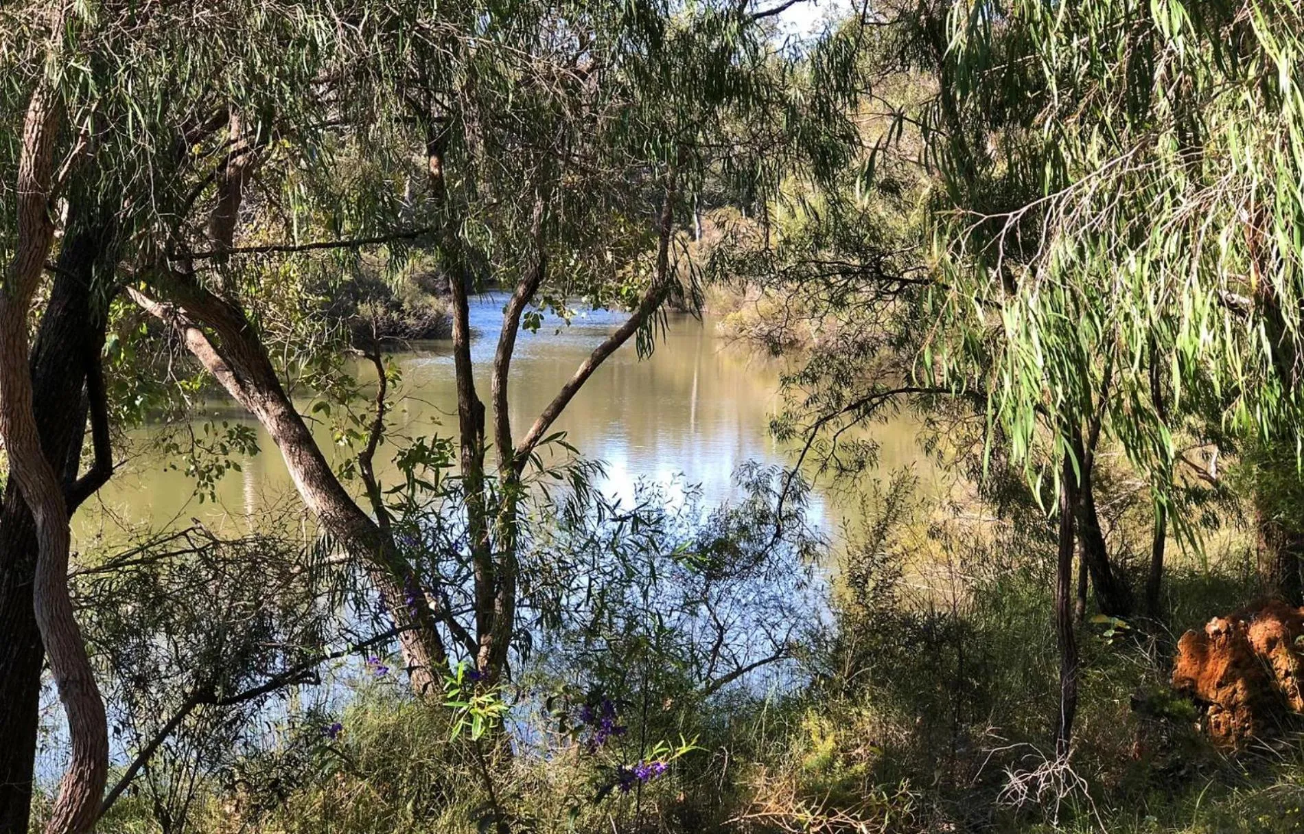 Floor plan in Banyandah - Dog Friendly - Family & Groups Welcome